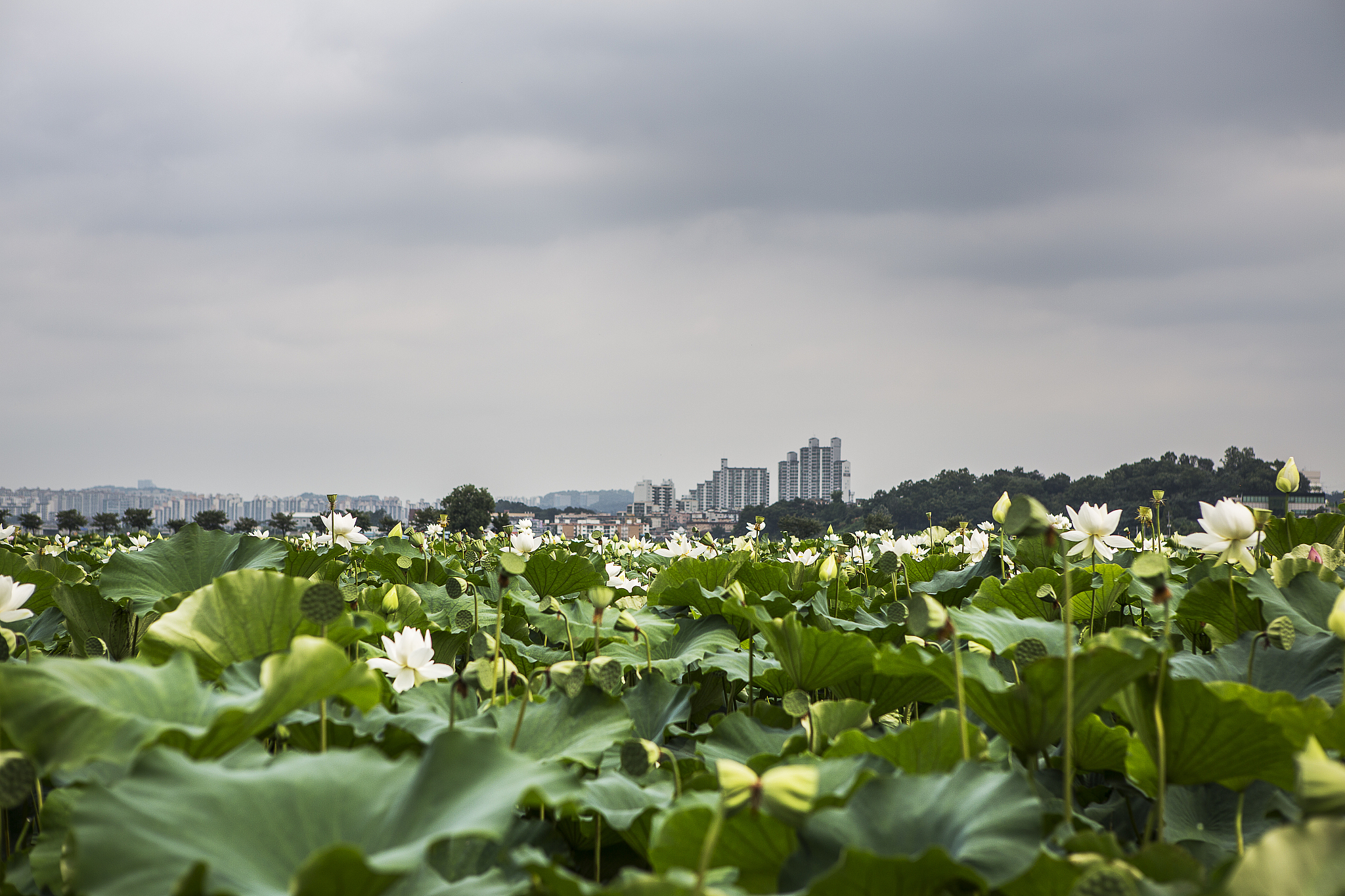 正安中等职业学校招生办联系电话