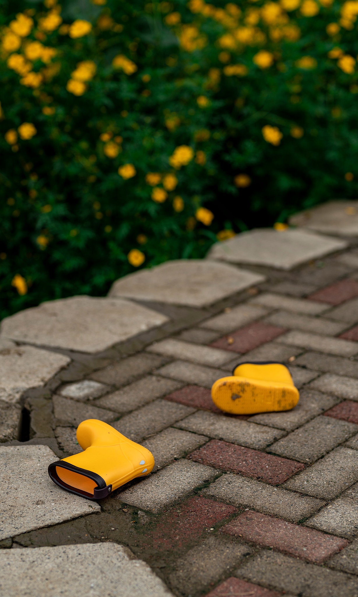 观音土作者冯有森：知名网络作家，作品风格多变，广受喜爱