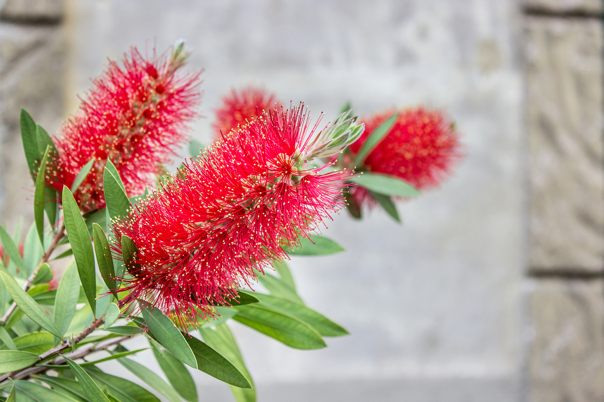 往河道里的石头上喷红色是什么意思