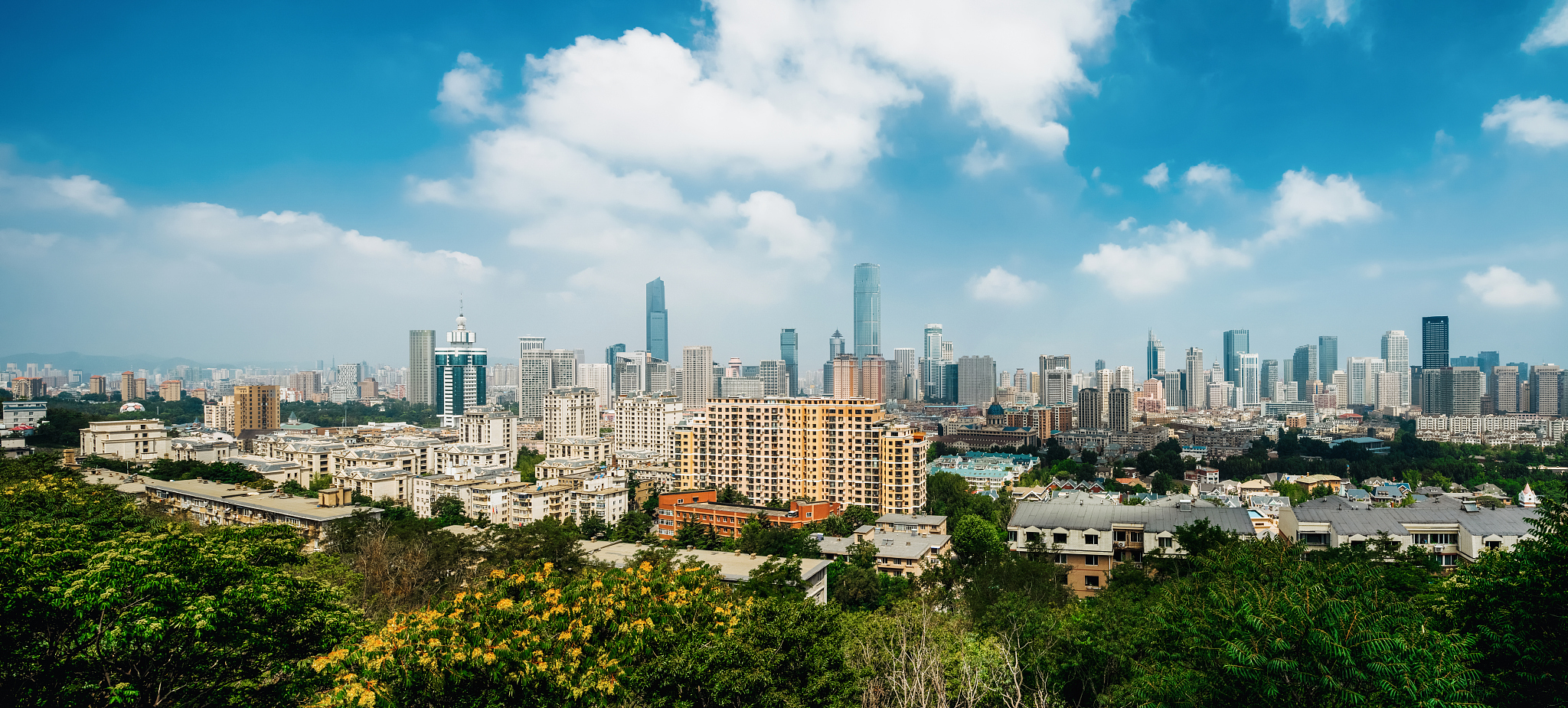 大连商业学校招生简章 - 培养未来商业领袖
