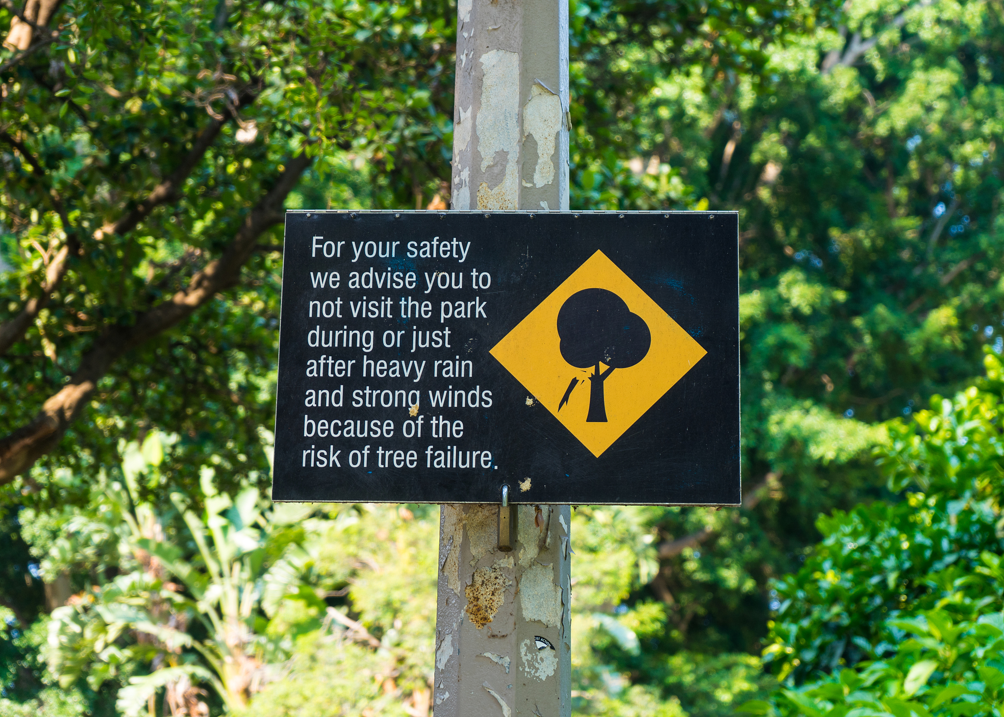 正在建设EHS体系 我需要你帮忙写一份二级文件《危险源辨识、风险评价和风险控制程序》共六部分第一部分是目的、第二部门是适用范围、第三部分是职责、第四部分是内容与要求、第五部分是相关文件、第六部分是相关记录