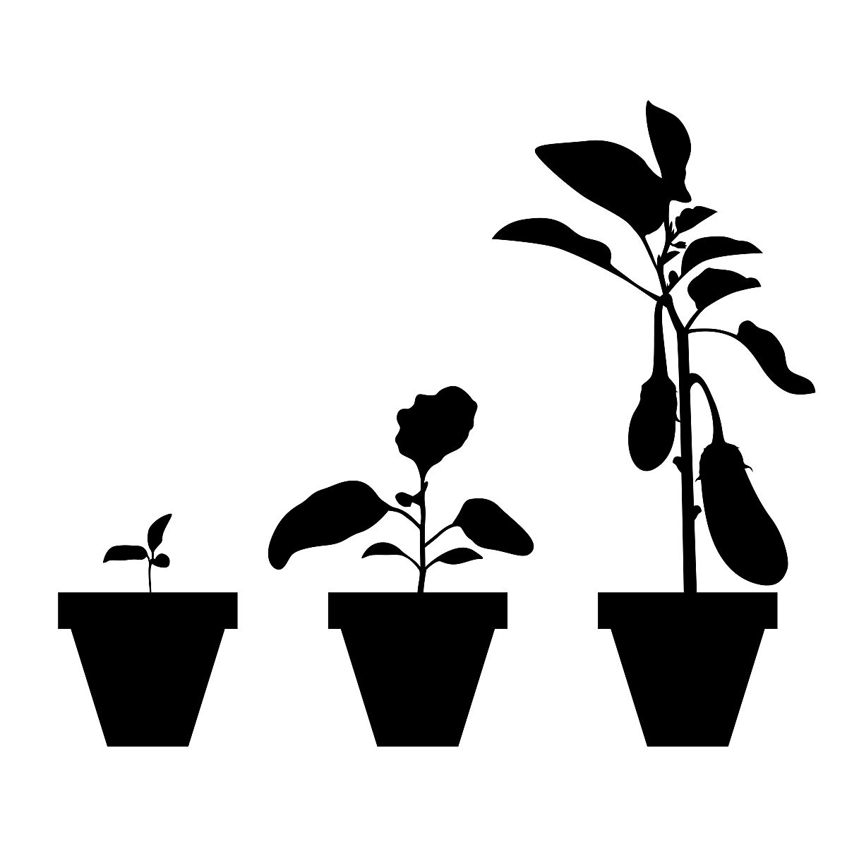 茄子专用茄子黄萎炭疸灵人1百克要加水多少合适帮我用200字详细描述