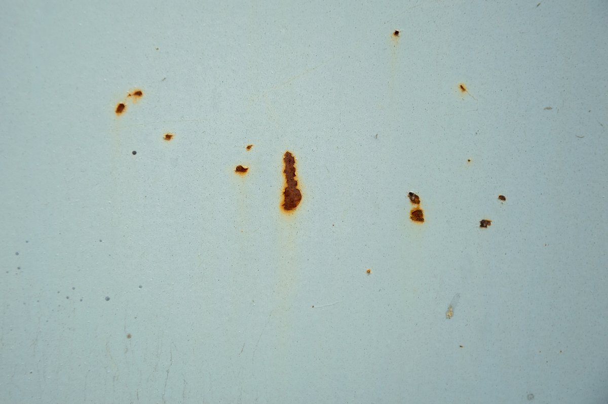 豆子生小黑虫怎么办？快速有效去除方法！