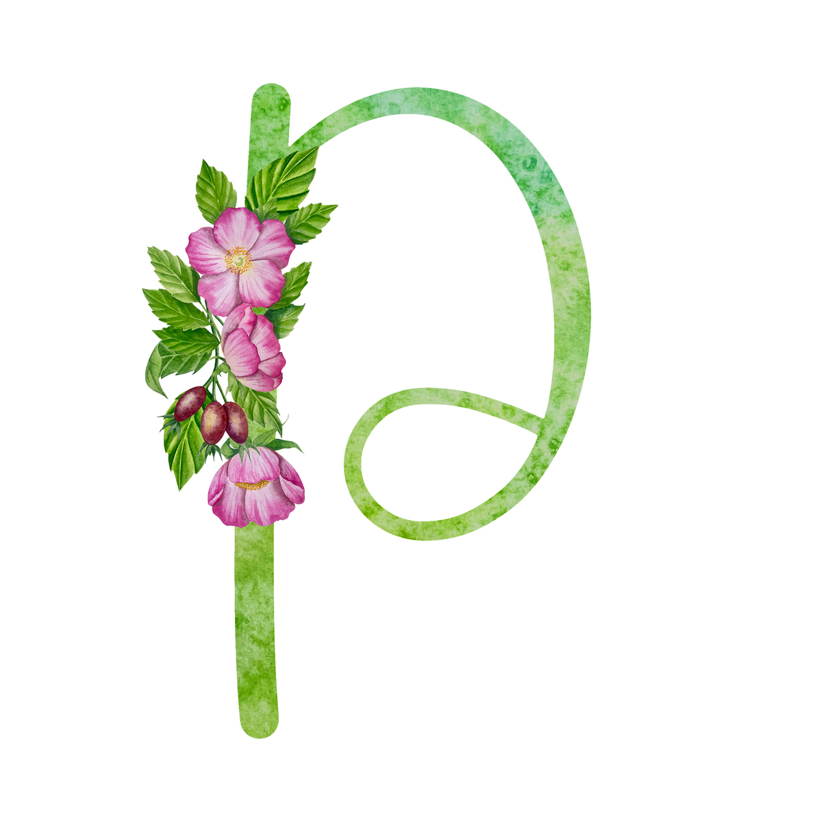 用字母 'JC' 能组成哪些单词？完整列表