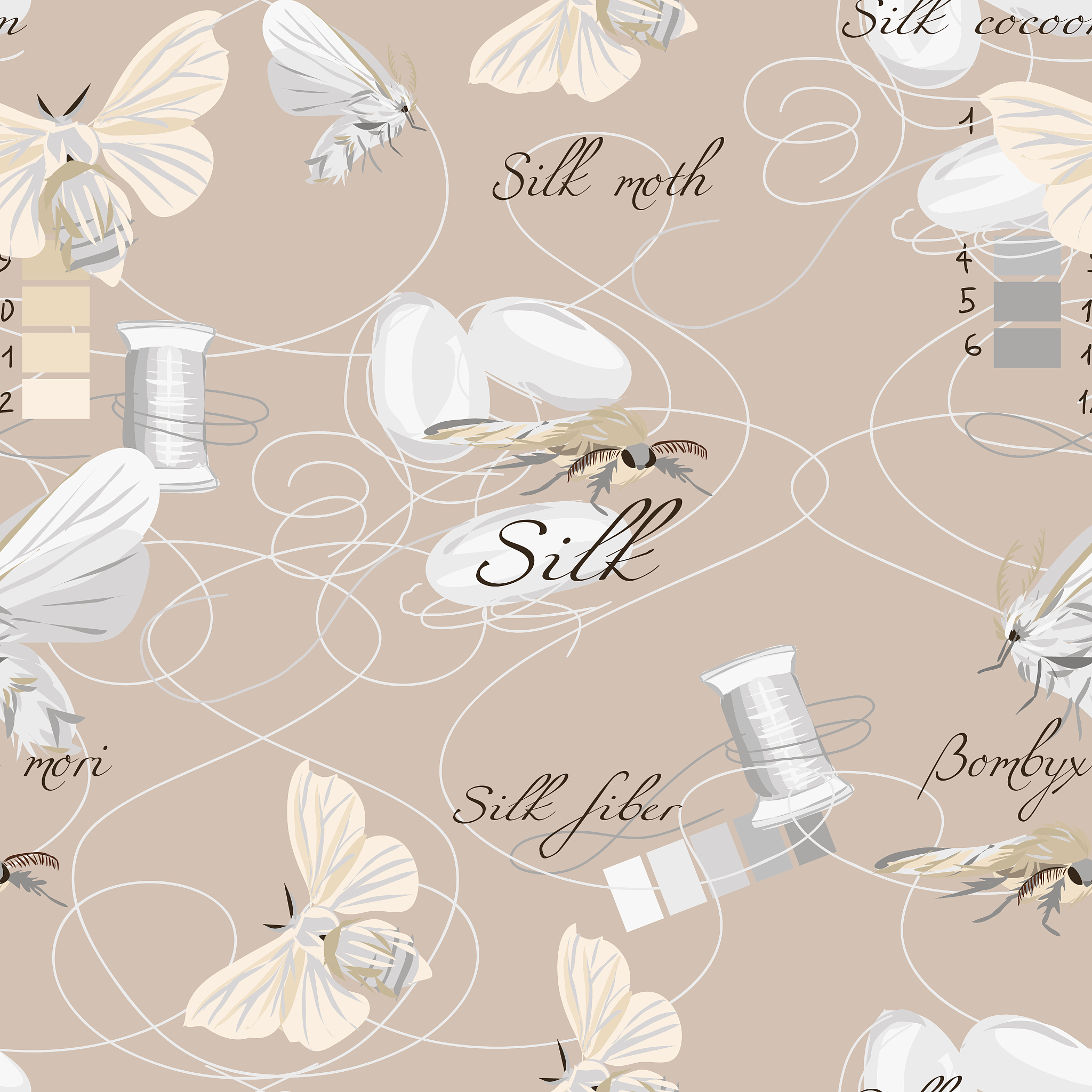 蚕丝怎么会有的好又白有的黄？