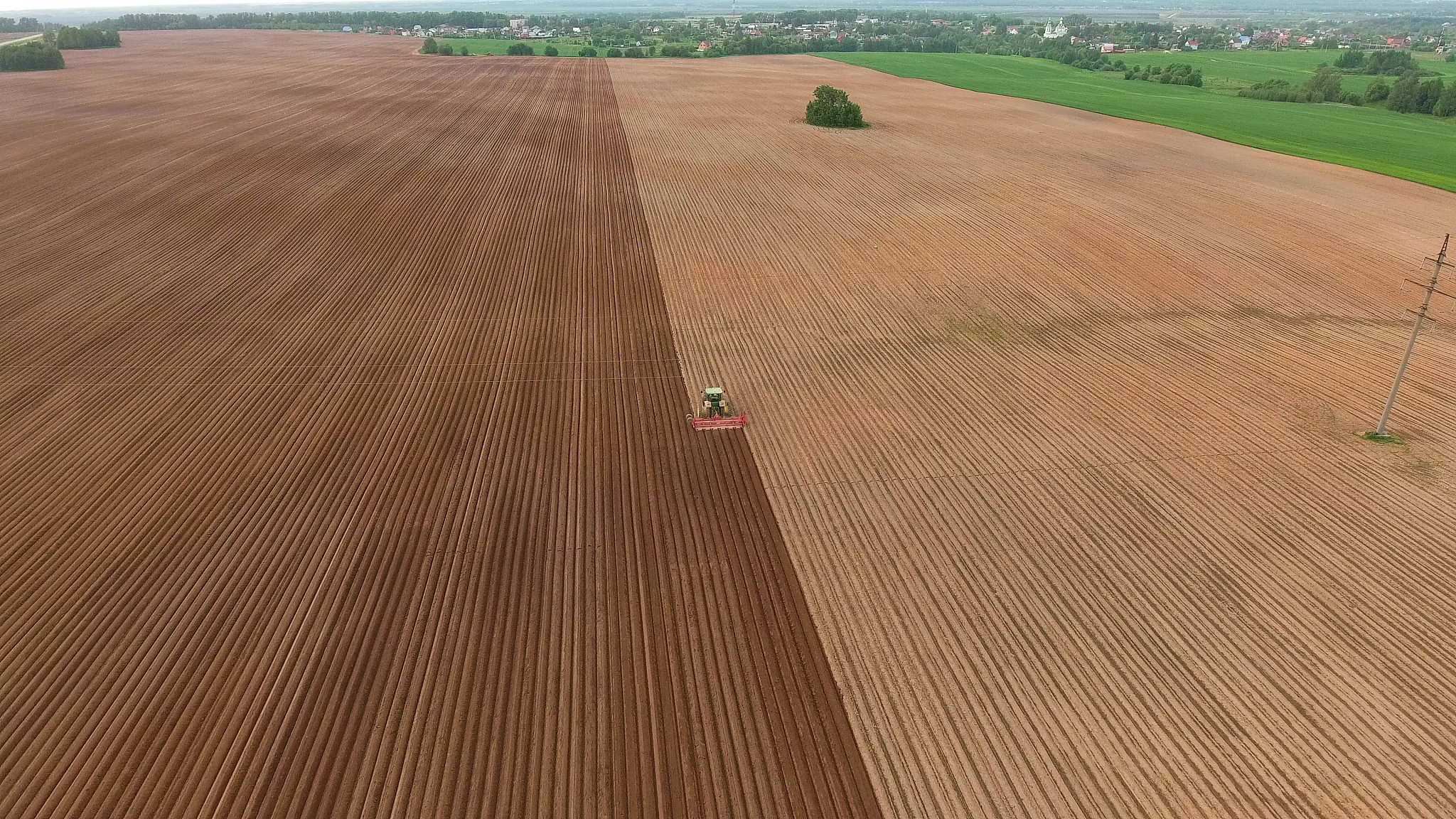 farmer seeding, sowing crops at field