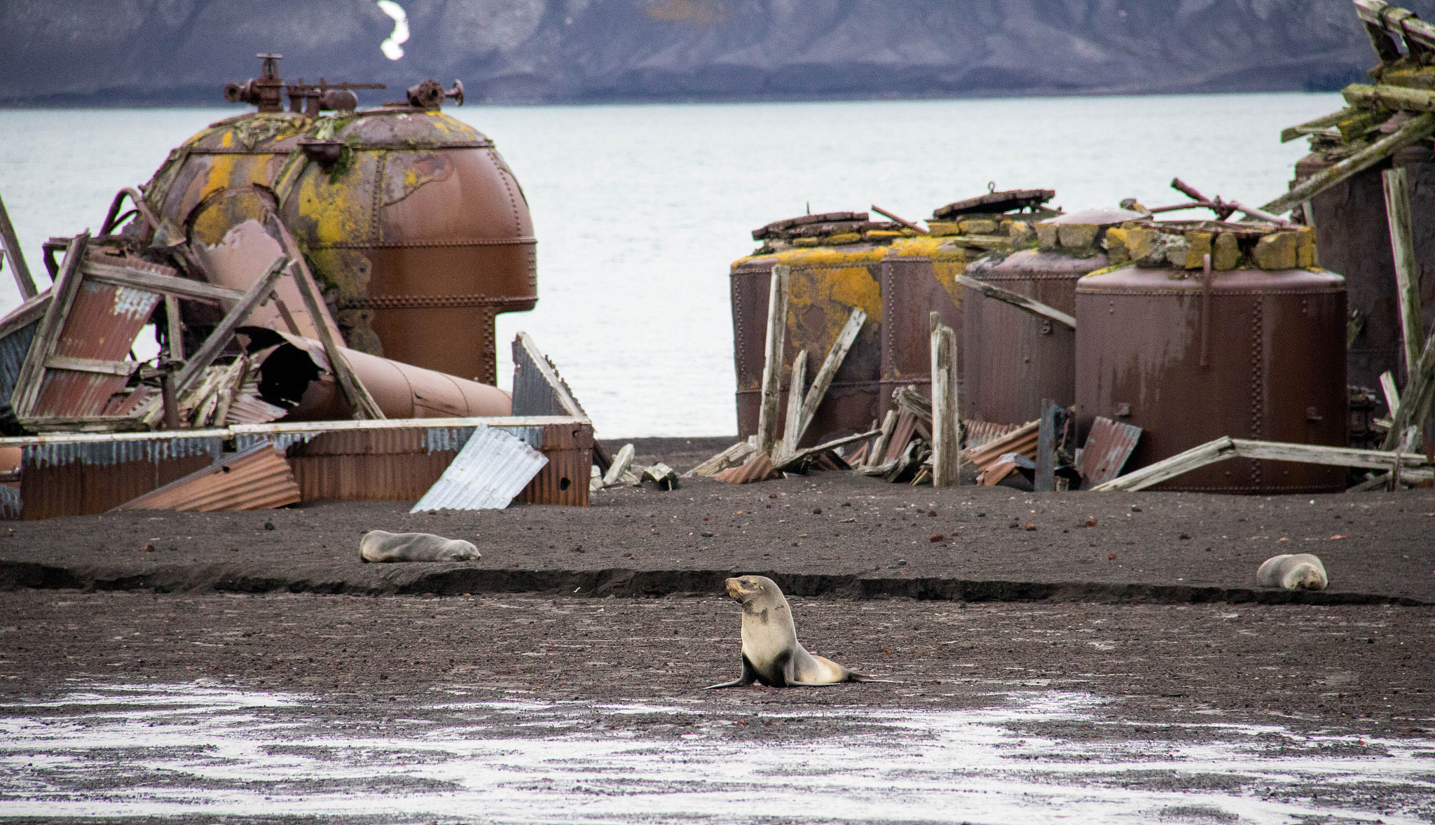 日本作为美国最忠实的盟友美国不帮助日本解决核污染水问题的根本原因是什么