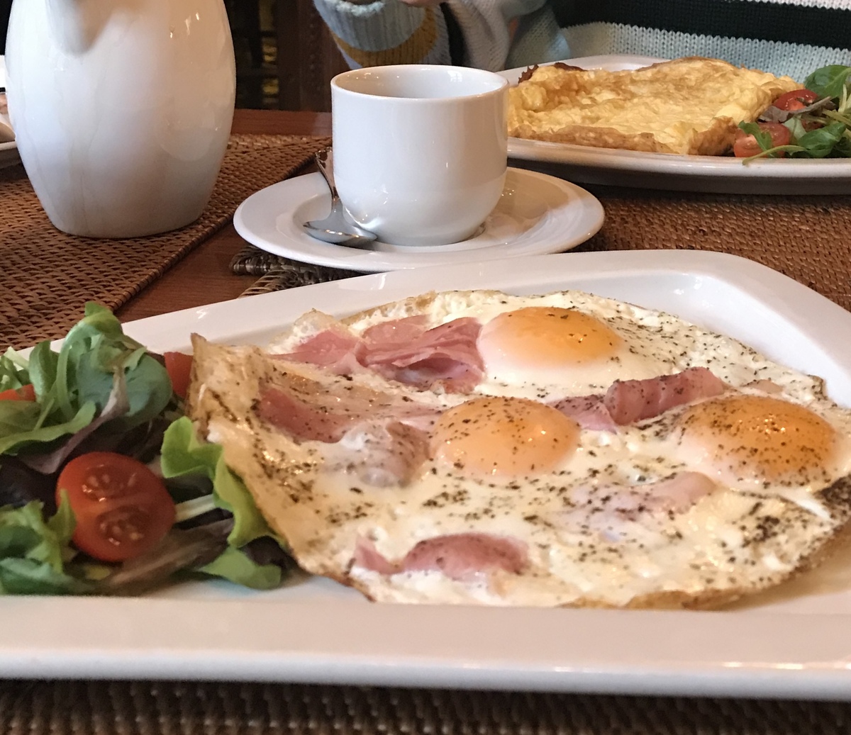 please give a brief summary to the following passage Our school cafeteria has chosen to remove the omelet from our breakfast menu The reason given for this modification is that the avian bird influenz