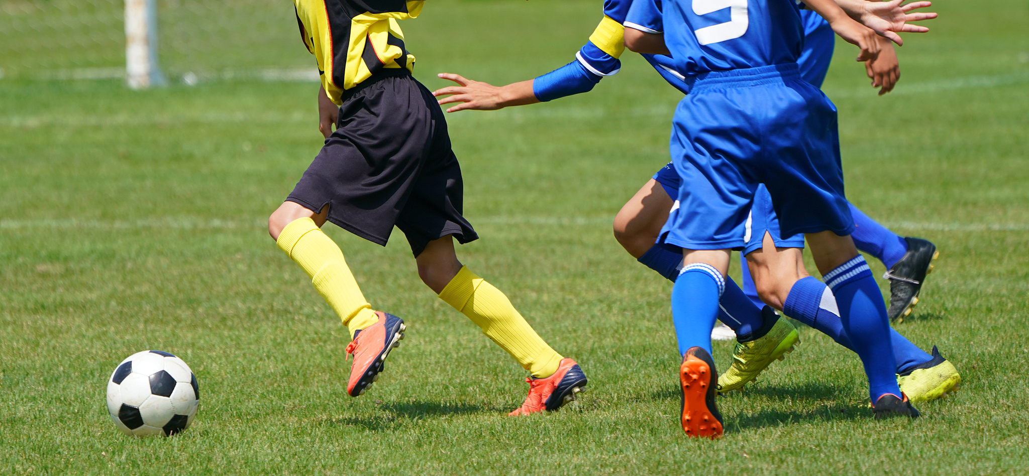soccer