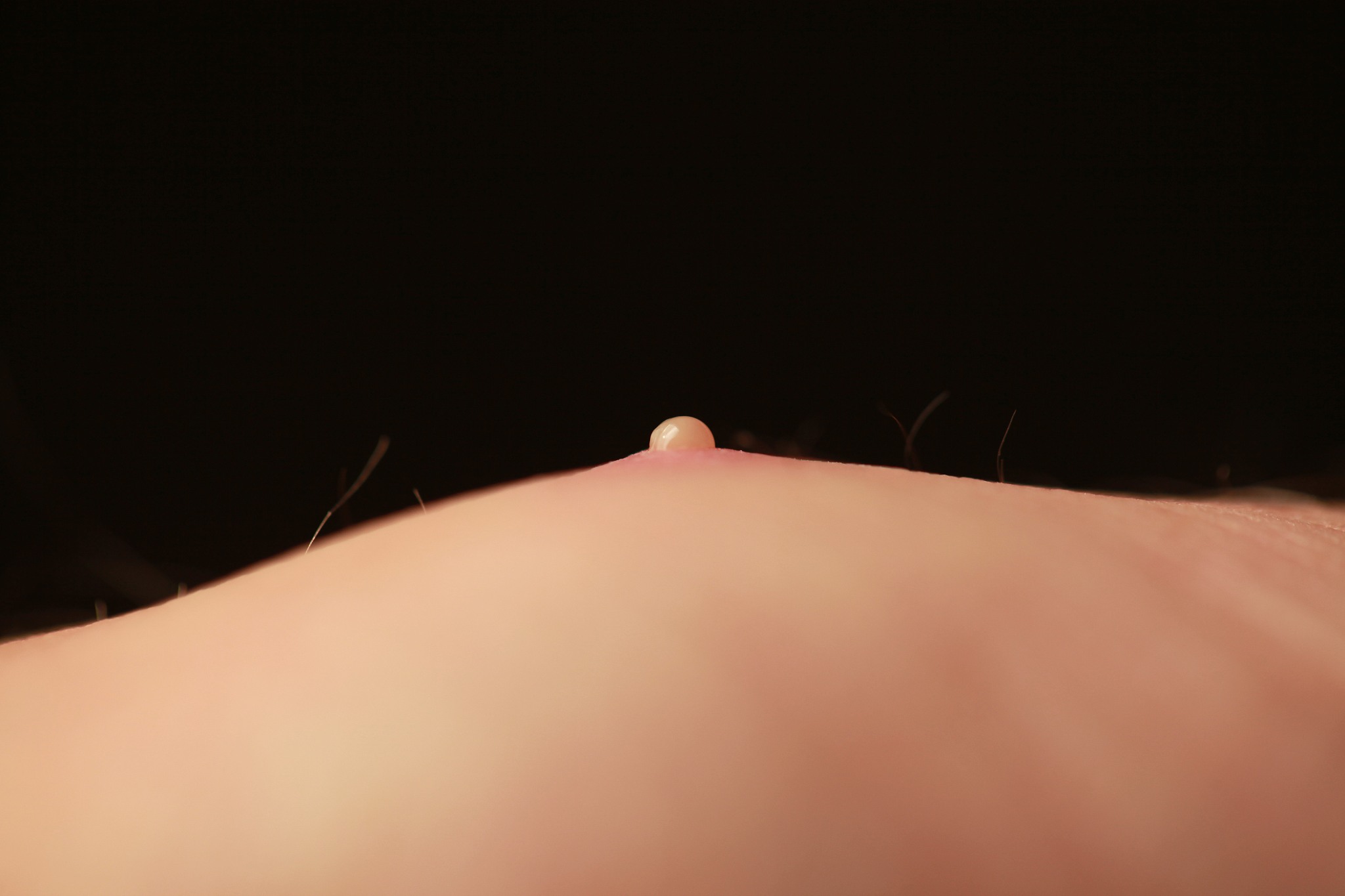 不失圭撮是什么意思