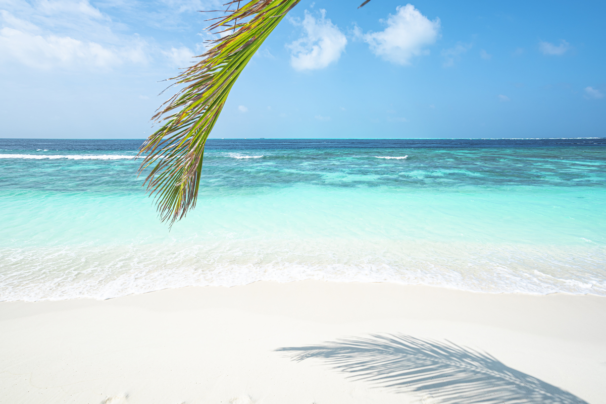 海边沙滩阳光美：沉浸在自然的美好中