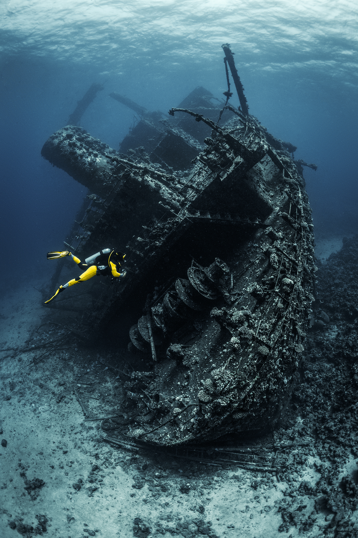 scuba diver observing a large shipwreck completely rusted and ov