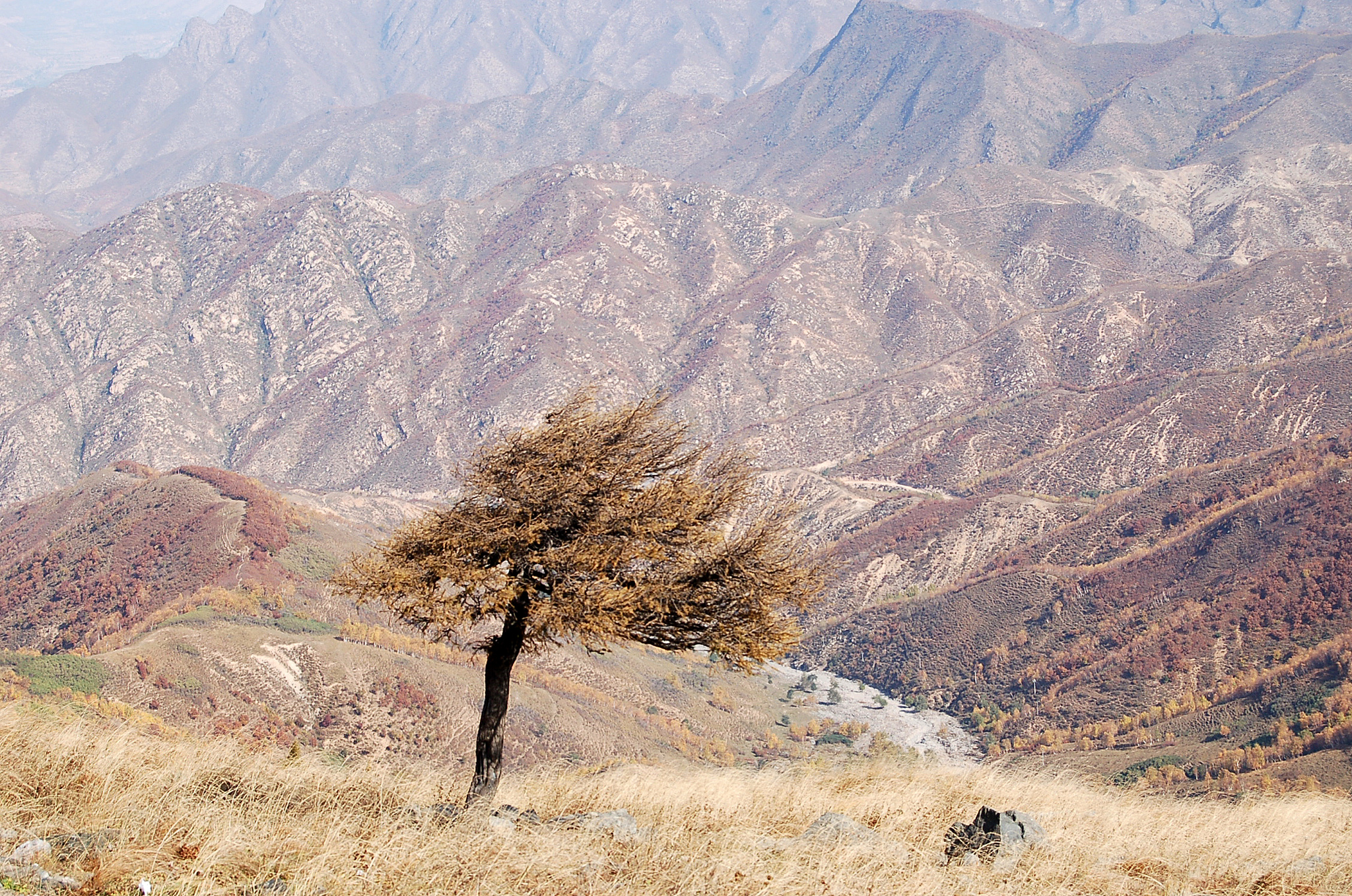 慈溪职业高级中学2021年招生专业介绍 - 优质职业教育选择