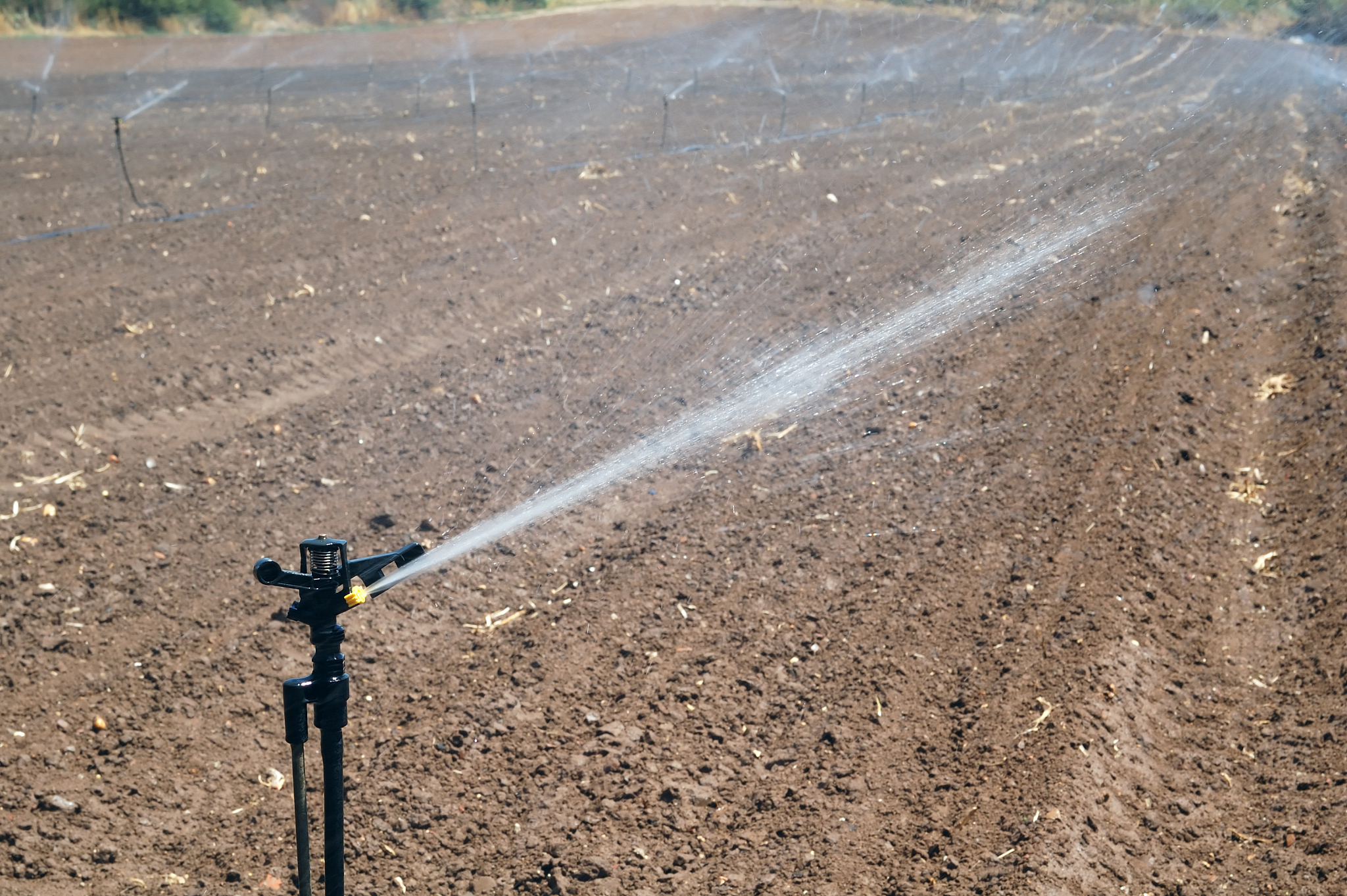 无杆喷洒：挑战与解决方案