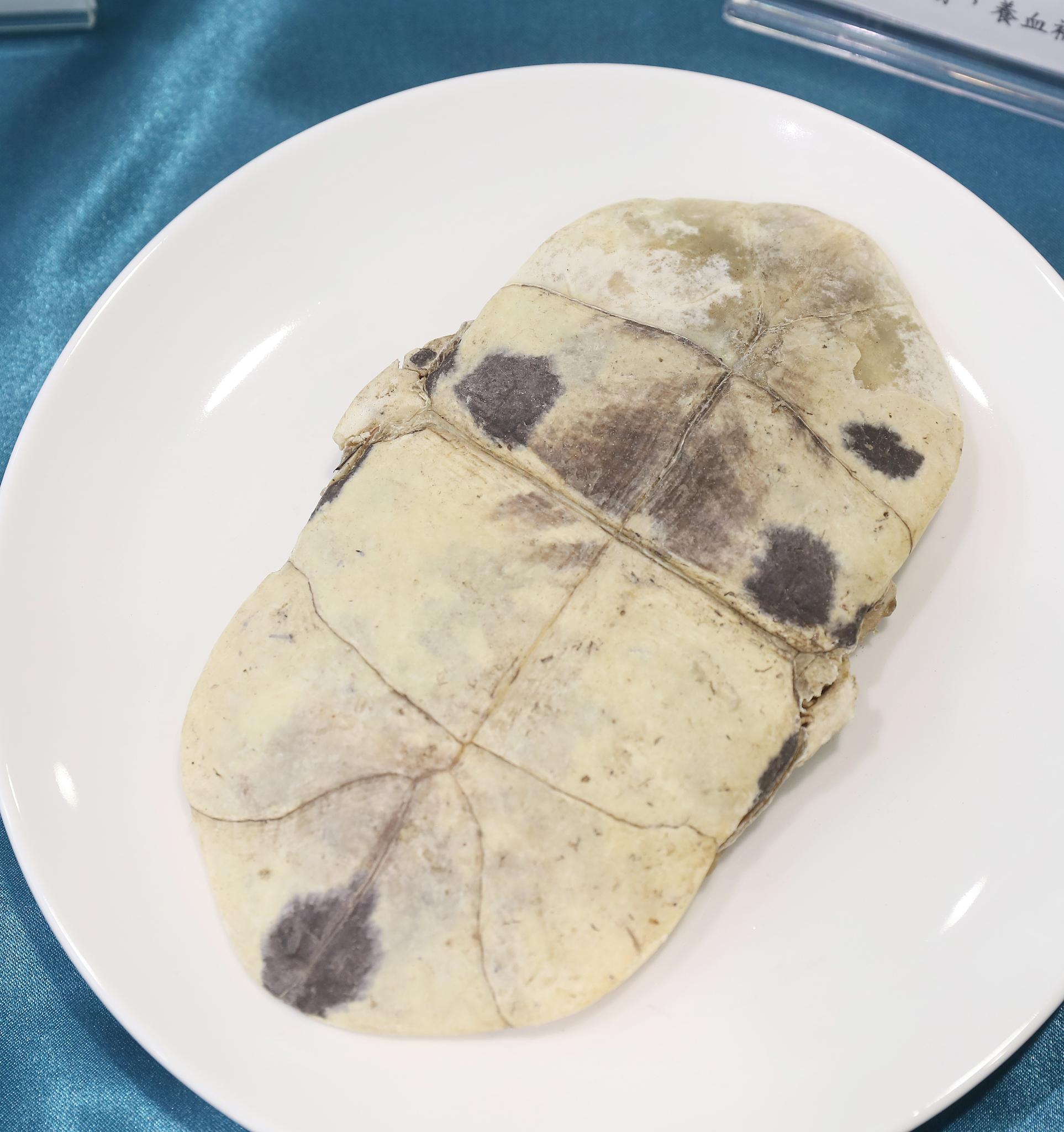 天津中医药大学2022年招生简章【官网】- 报考条件|时间|流程