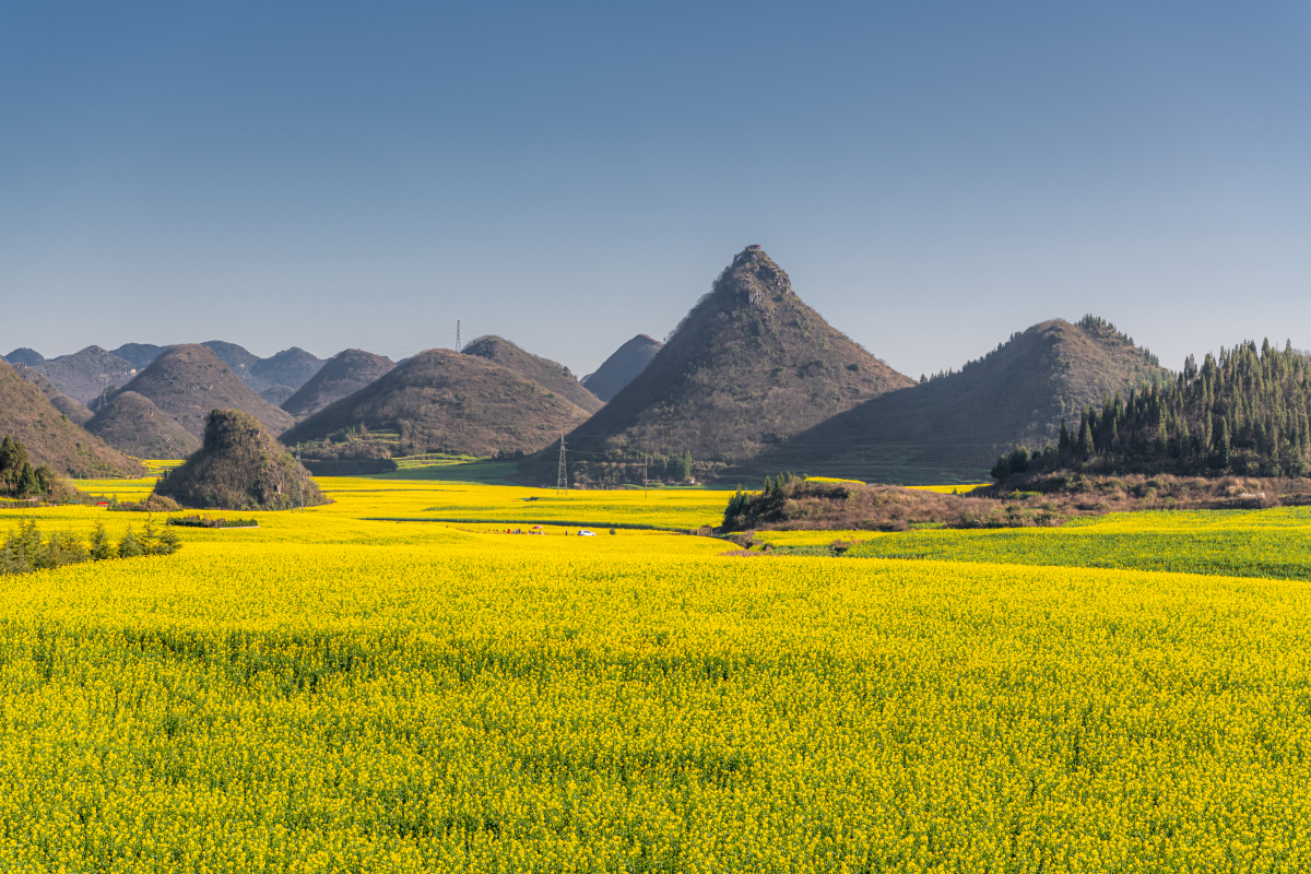 云南昭通大山包,国际重要湿地,黑颈鹤的家园,生态摄影的天堂