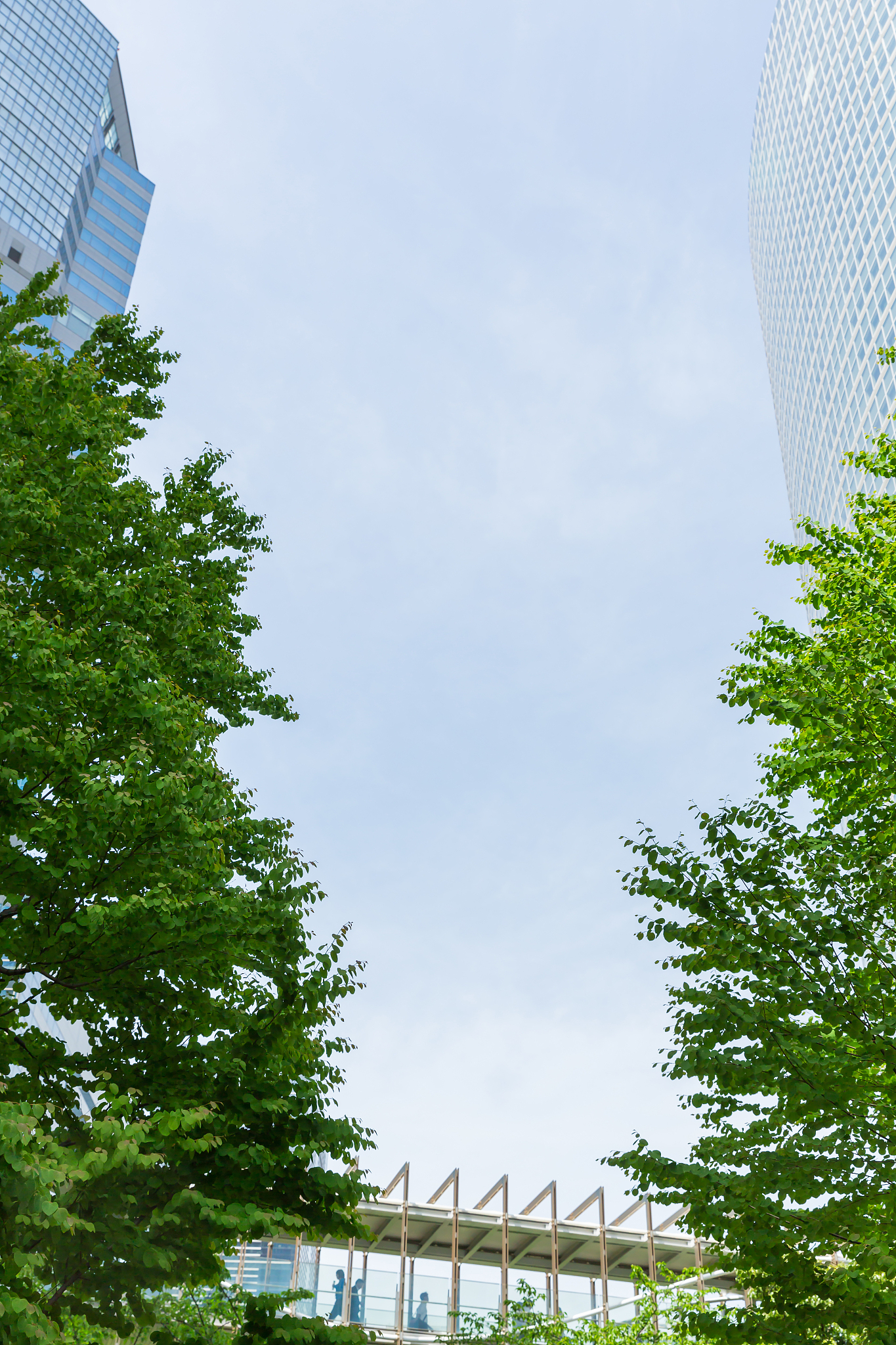 到北京海淀区租赁办公场所有什么工商管理规定或者市场监督管理规定吗？