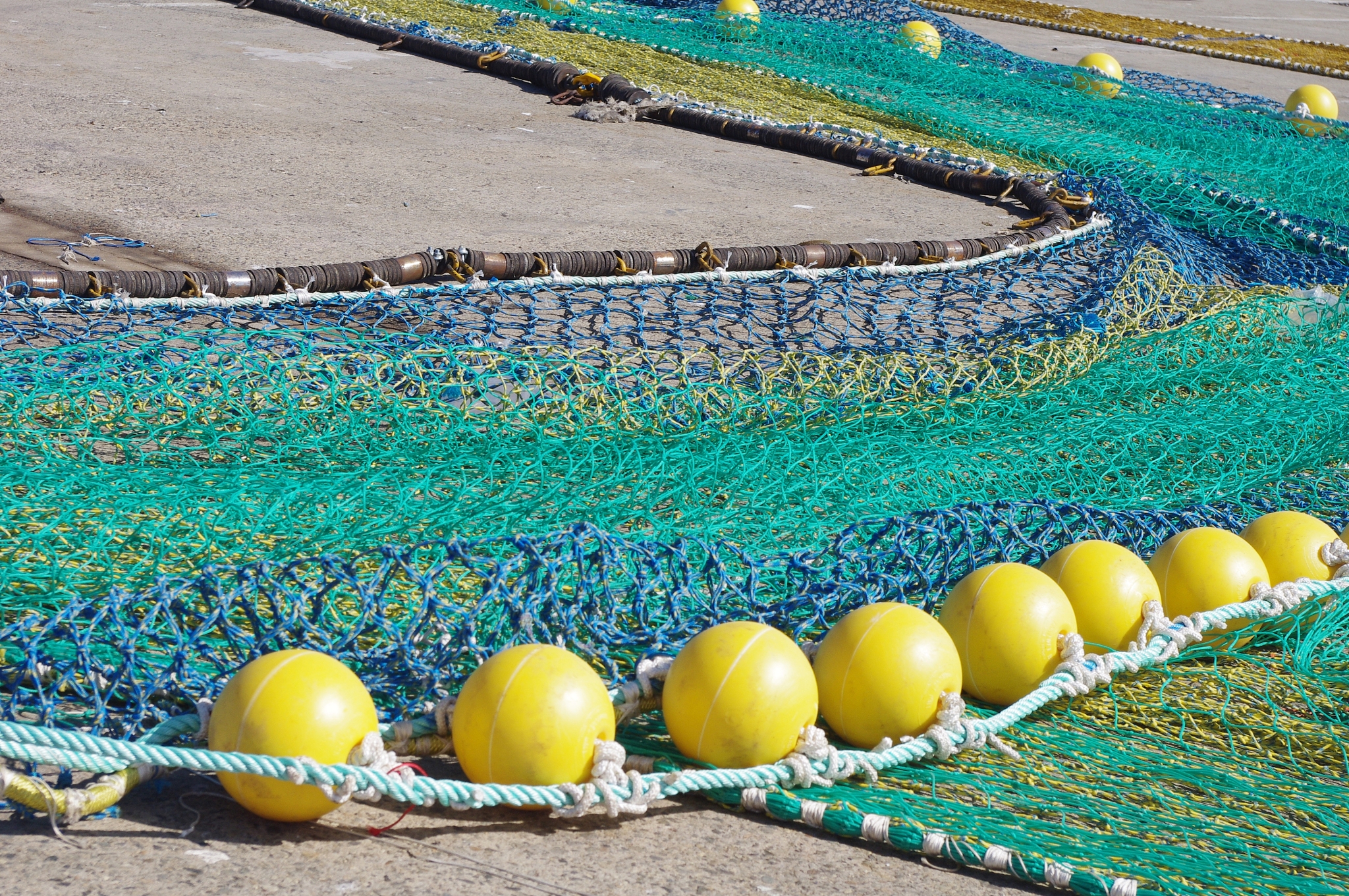 fishing nets