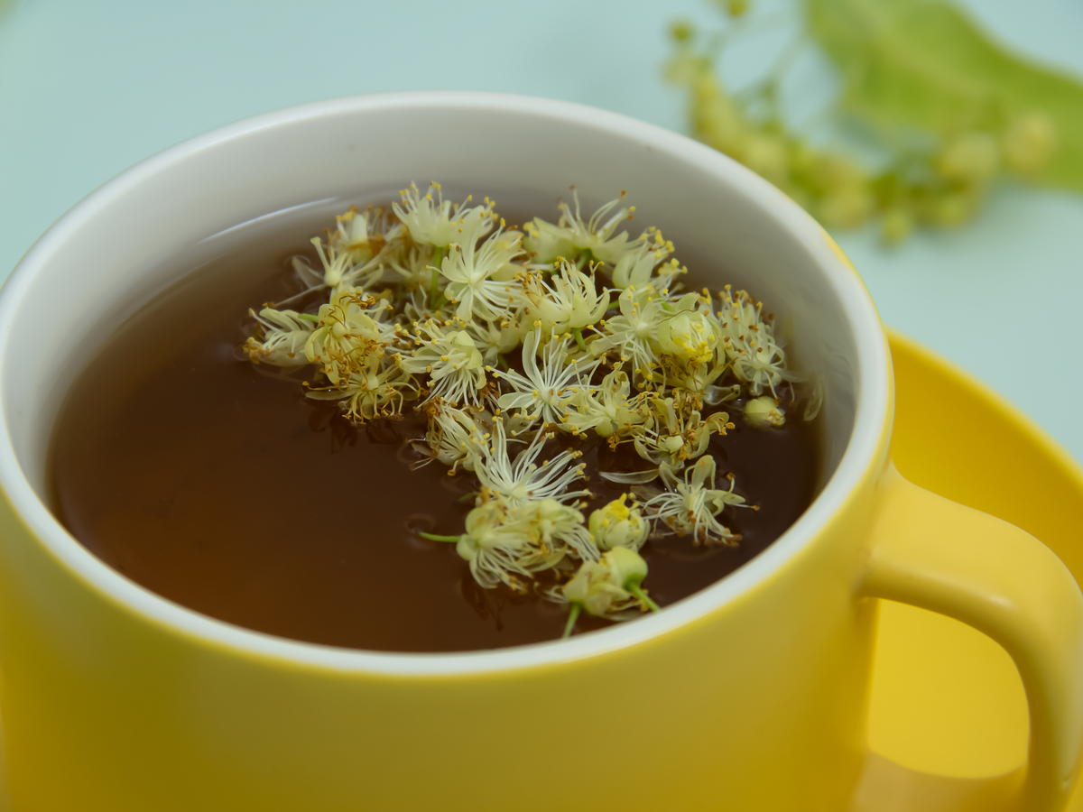 金银花菊花陈皮泡水：古老中药方，有效治疗多种疾病