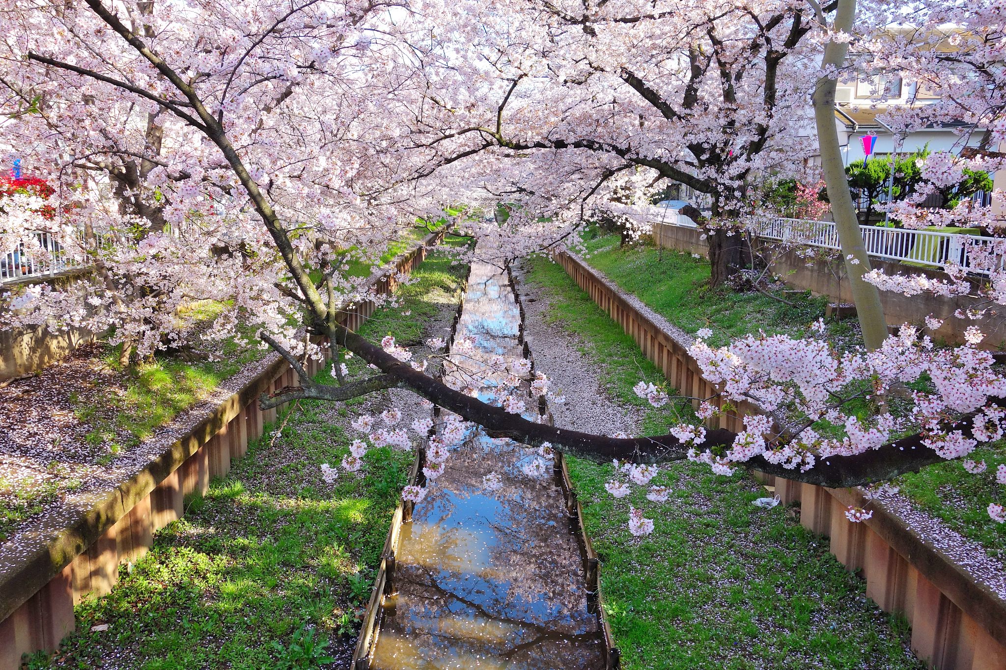 春天合适去什么地方旅游