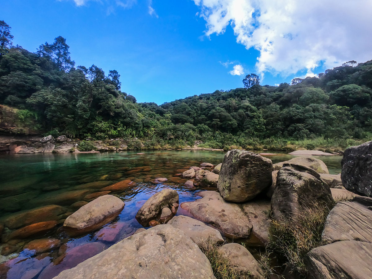 捕捉五月美好时刻五一出发罗浮胜境与自然来一次亲密邂逅帮我把上面这几句话修改润色一下