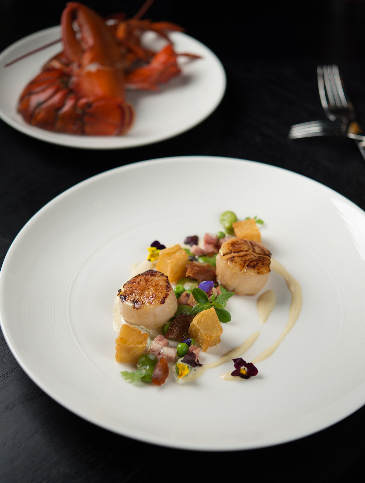 scallop