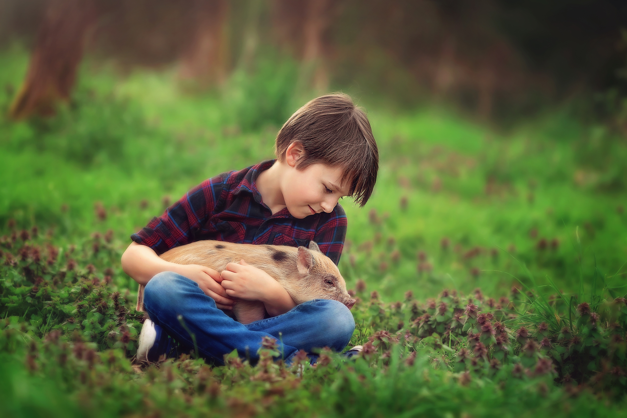 little boy holding a baby pig in his lap, looking down lovingly