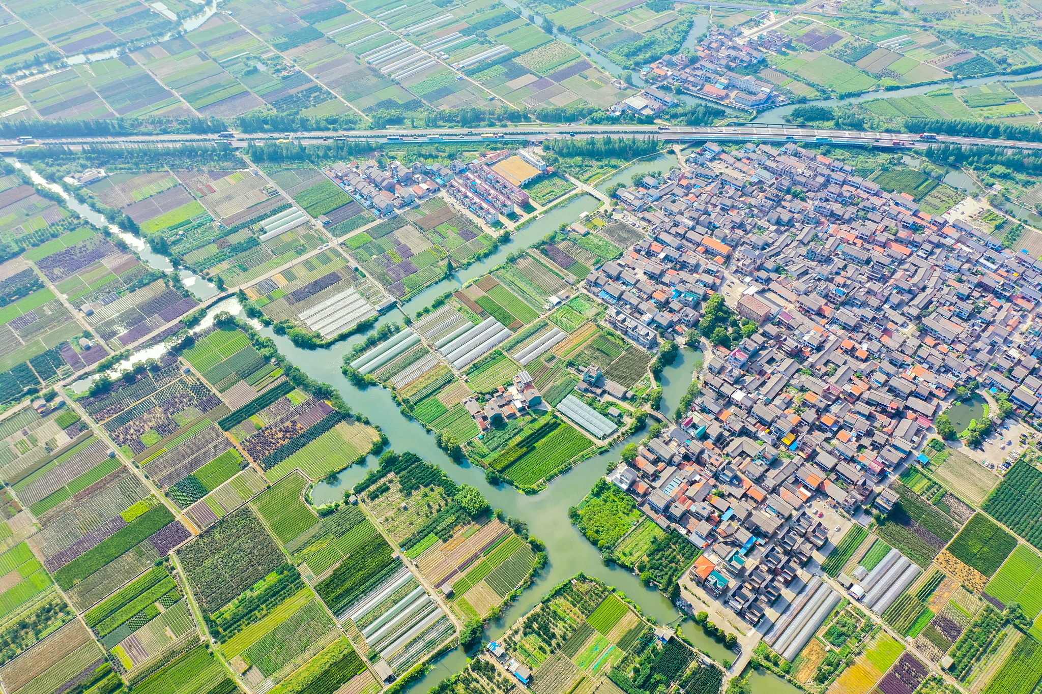 我家乡十年巨变：见证时代进步的奇迹