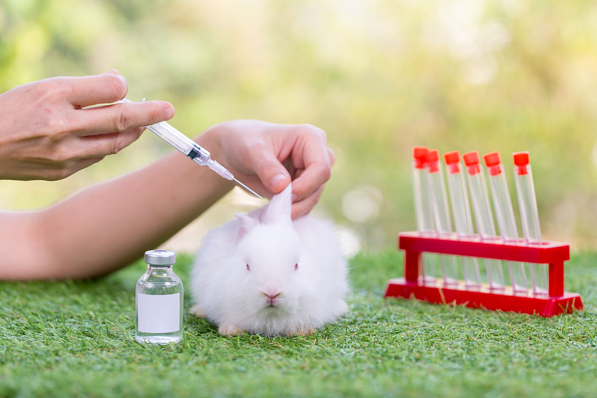 云南曲靖兽医养殖学校2019年全日制五年一贯制普通高职大专招生报名方式