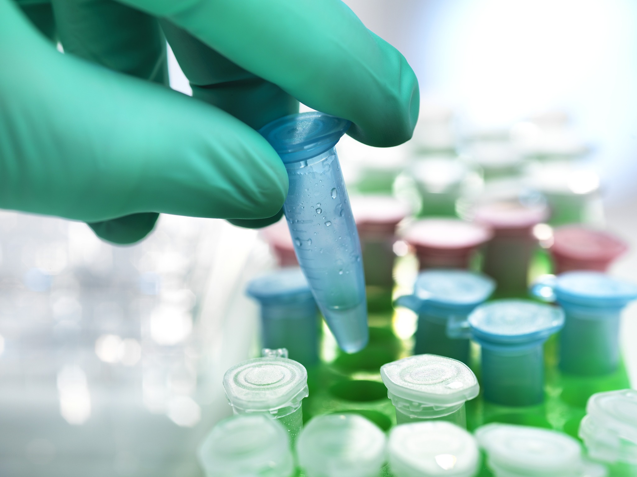 贵州医科大学化学生物学专业招生就业岗位都有哪些