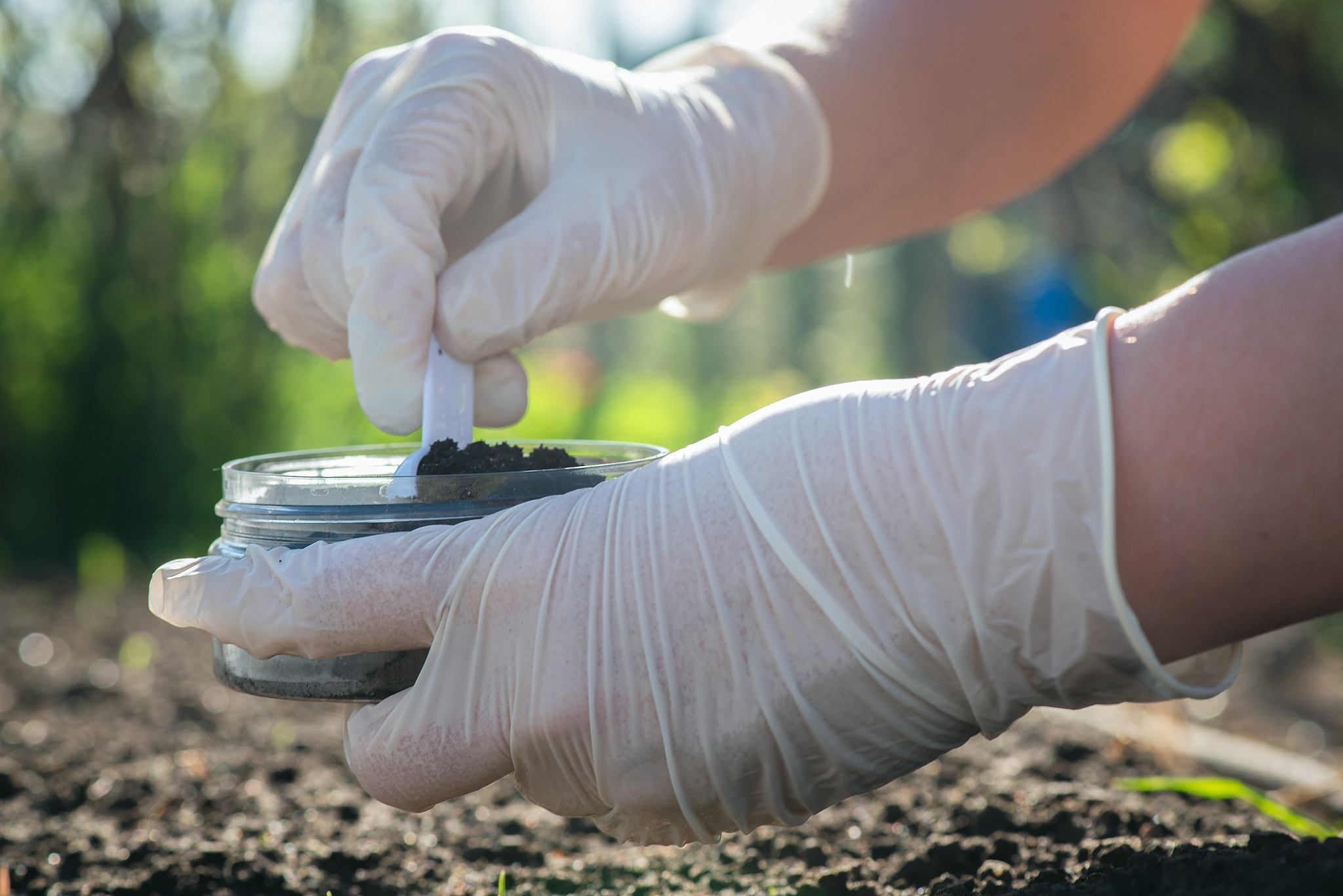 SOIL SCIENCE AND PLANT NUTRITION 期刊 - 全面了解土壤科学与植物营养研究