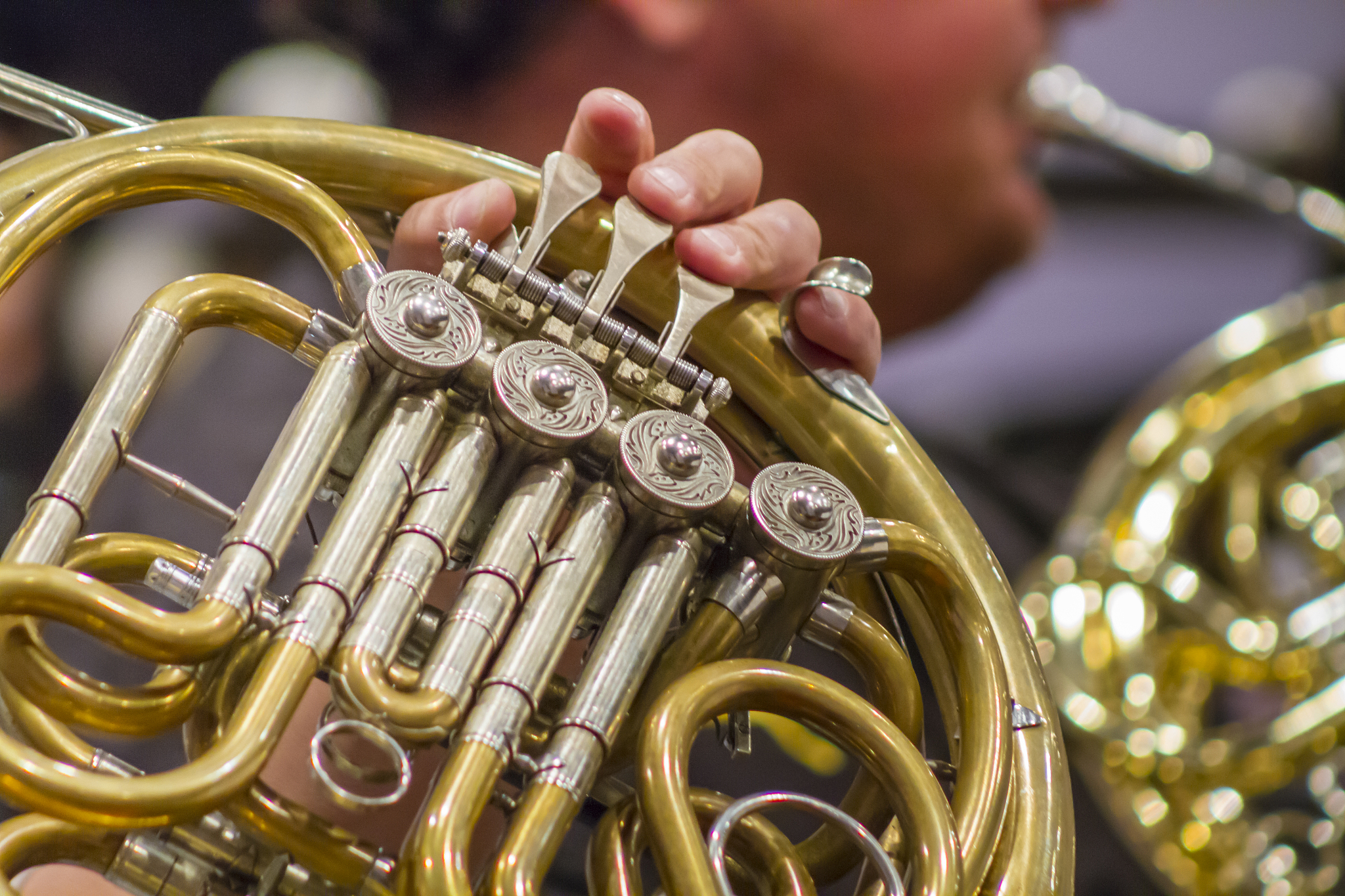 探索导向、享受性是什么意思