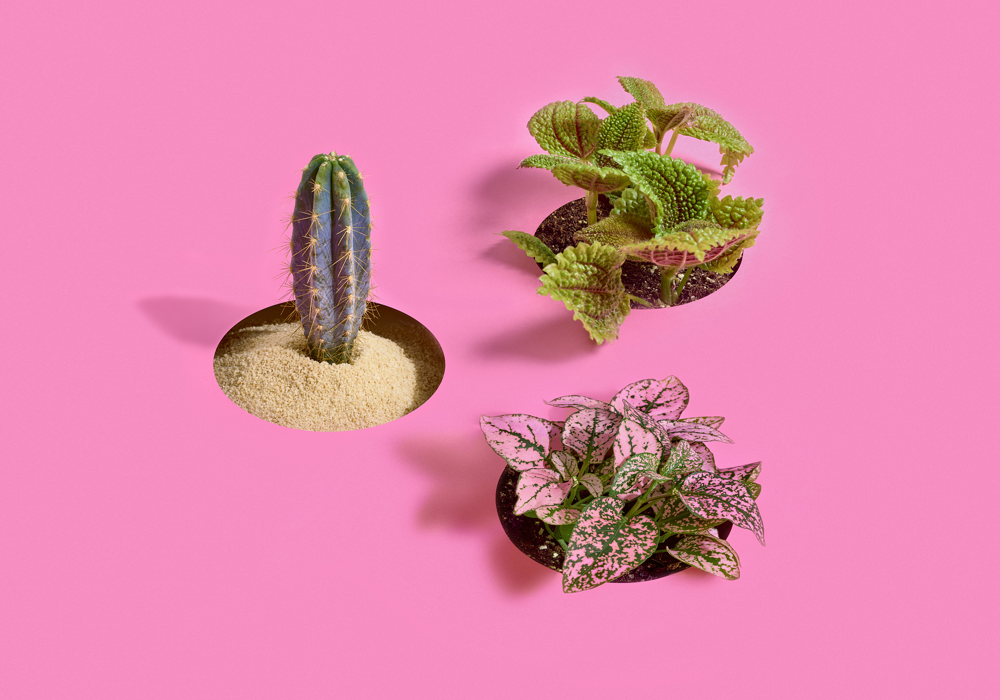 translate to chinese. 	
Although other regulatory requirements may contribute mitigation elements, these regulatory programs form the framework for the reclamation plan. translate to chinese.