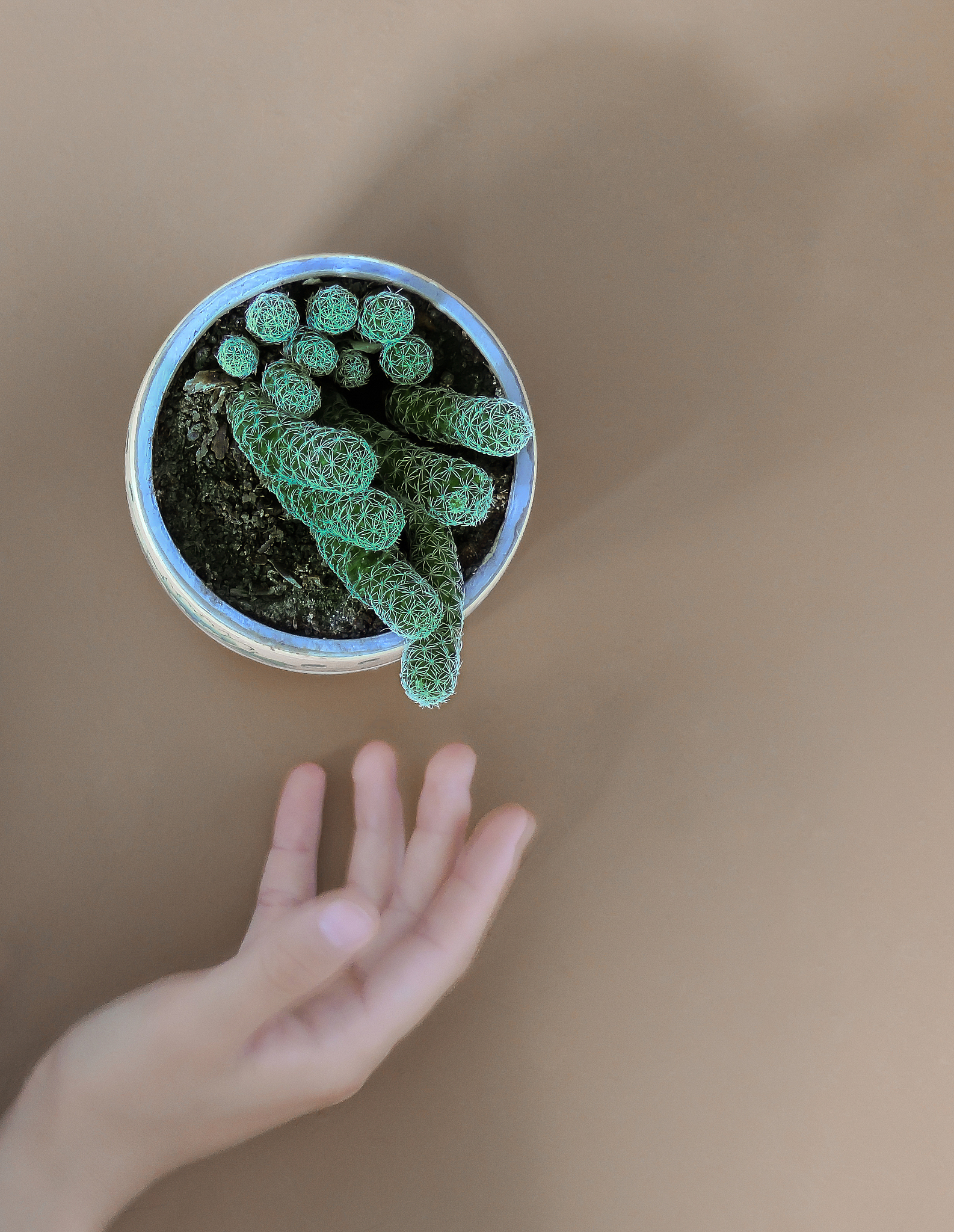 需要润色吗：The neurologist promptly administered antiplatelet therapy with Tirofiban and performed carotid artery stenting surgery 2 days later