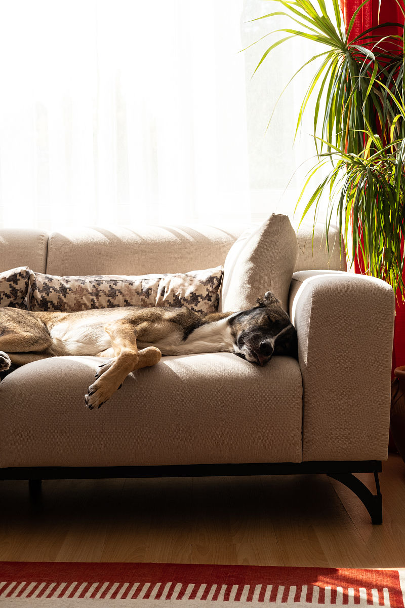 懒人沙发的优点和缺点分别是什么？