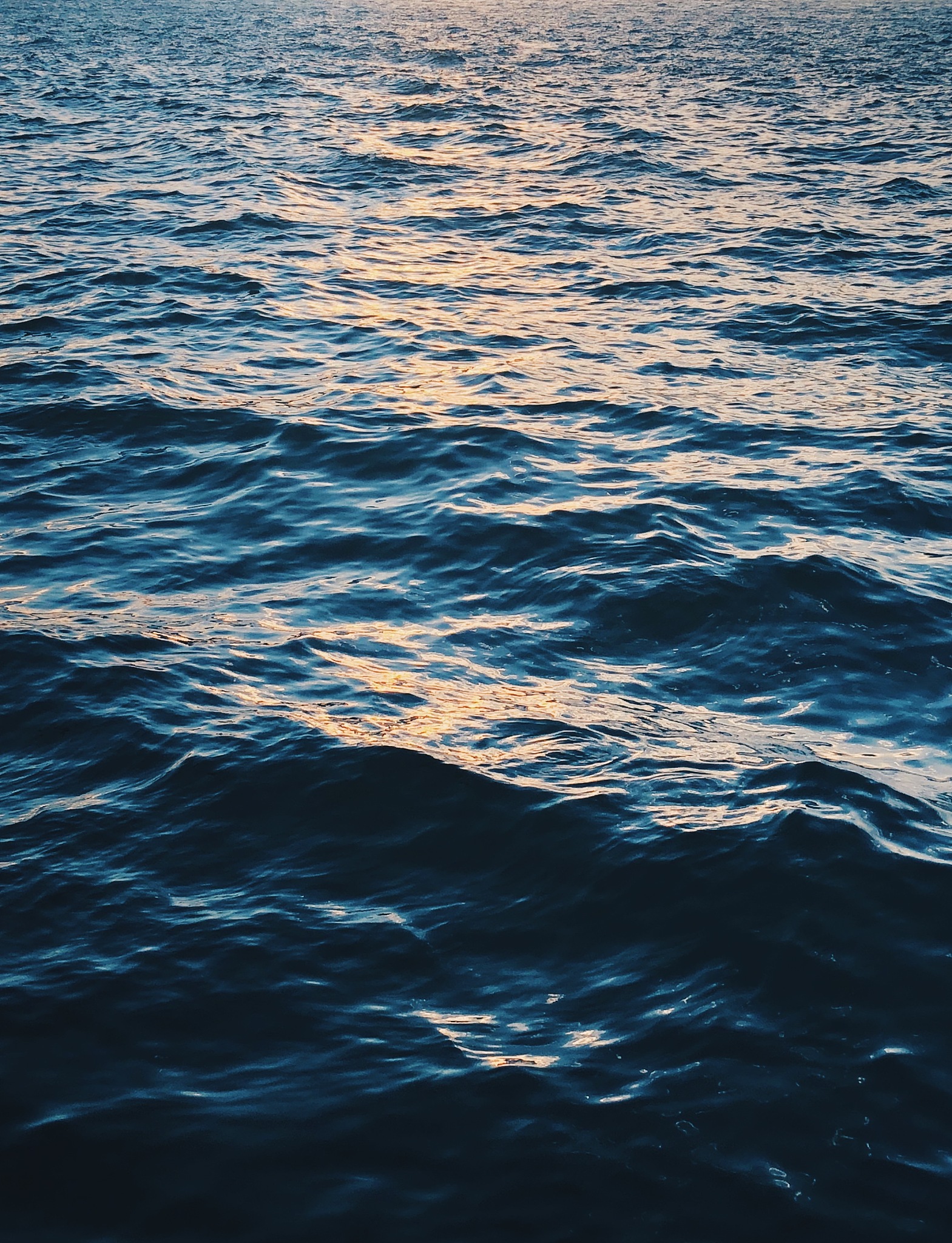 泉州海洋职业学院招生专业