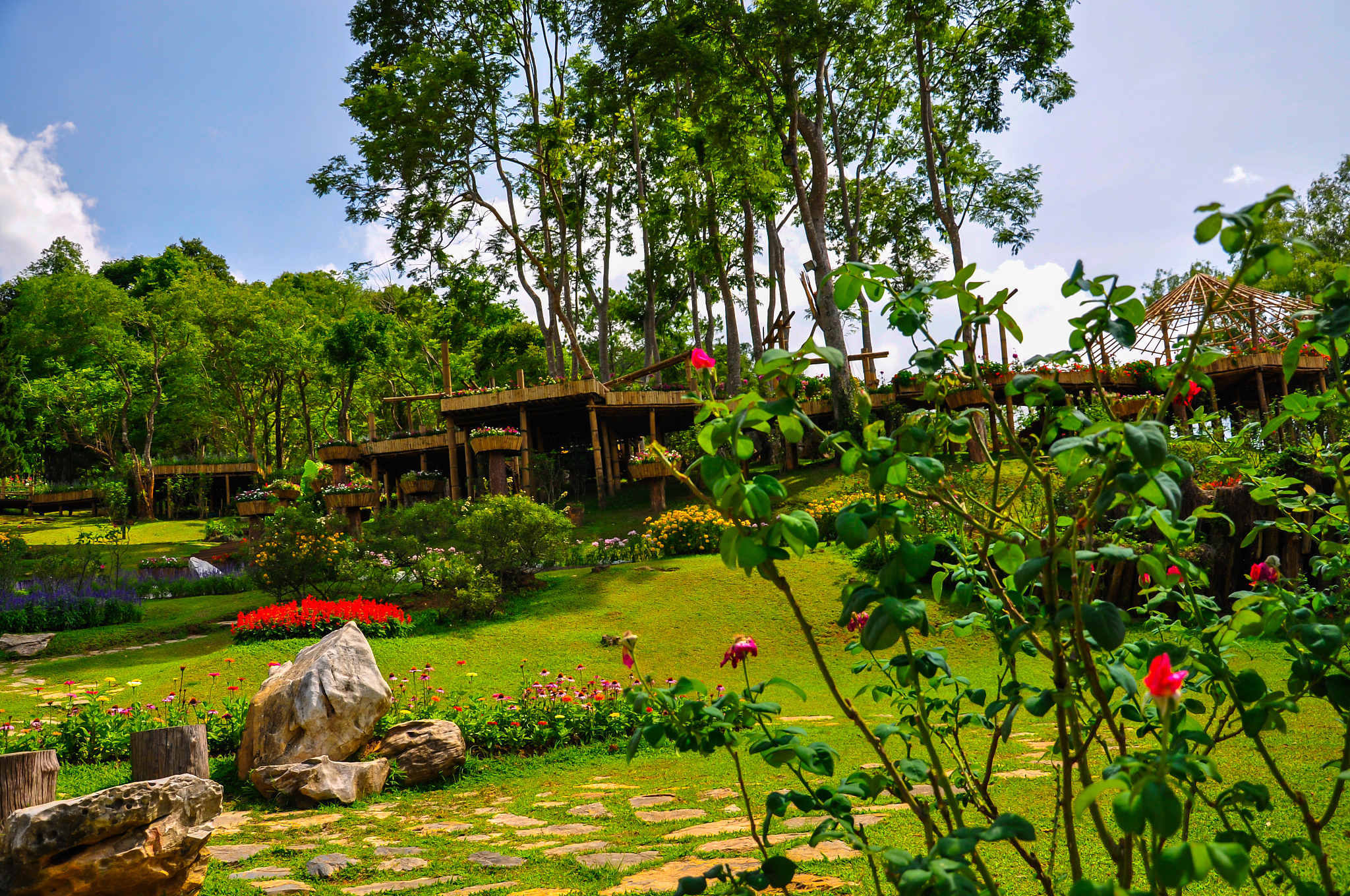 生态园区的常见分类