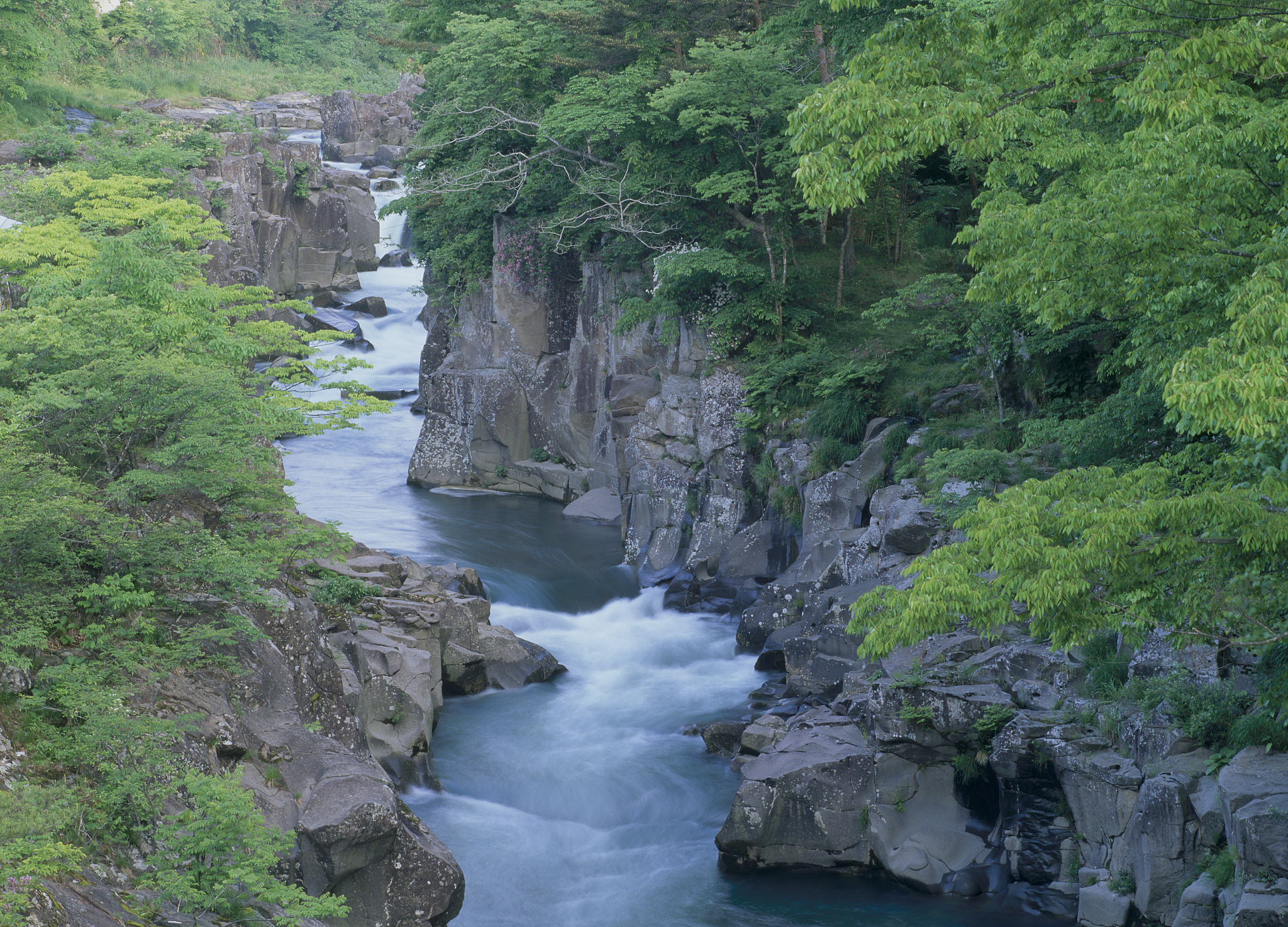 岩关组和大唐组岩性特征：华北与西南地区地层对比