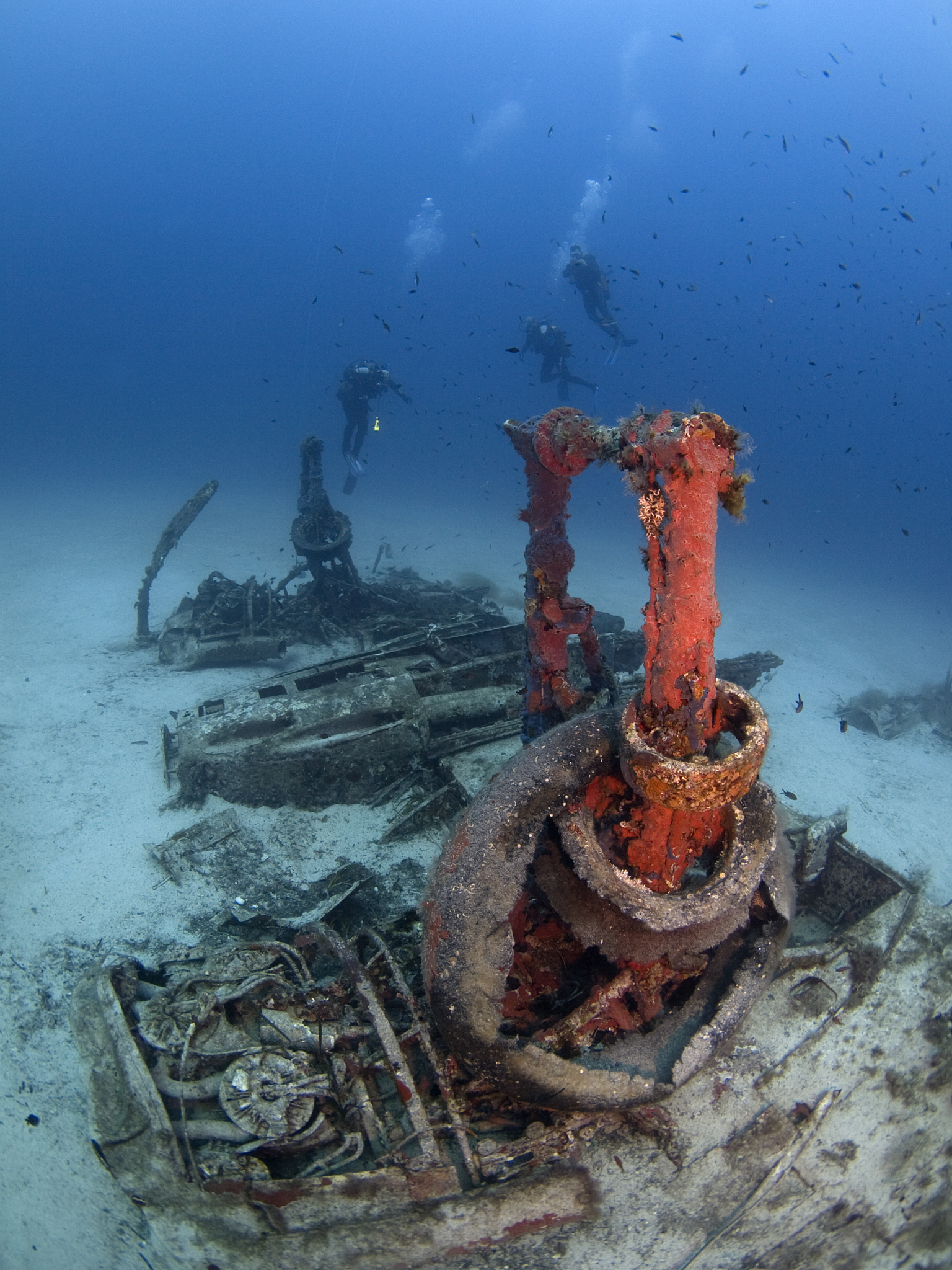 scuba divers on a plane wreck