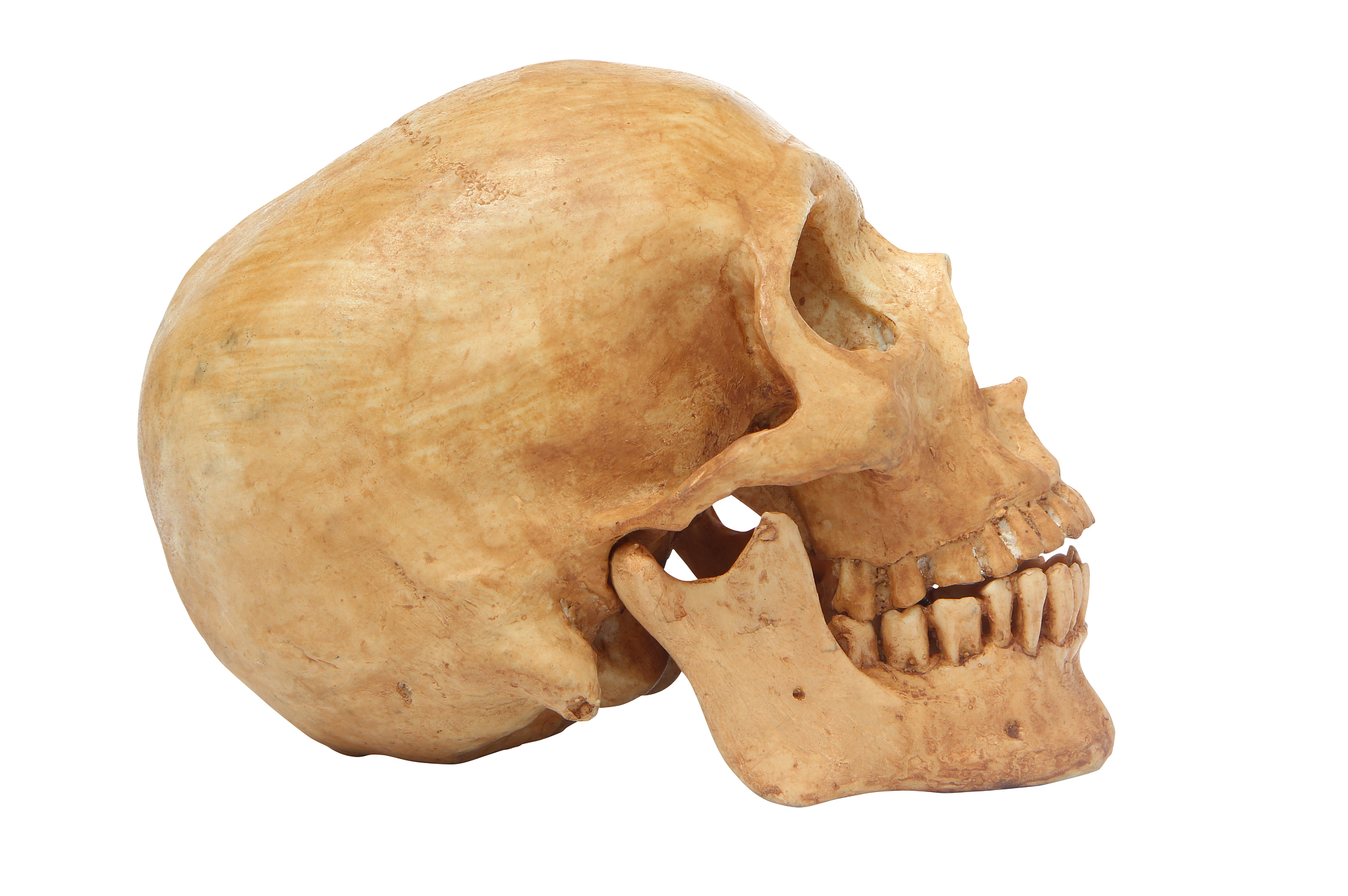 解读有序逻辑回归模型参数：深入理解mnrfit函数输出