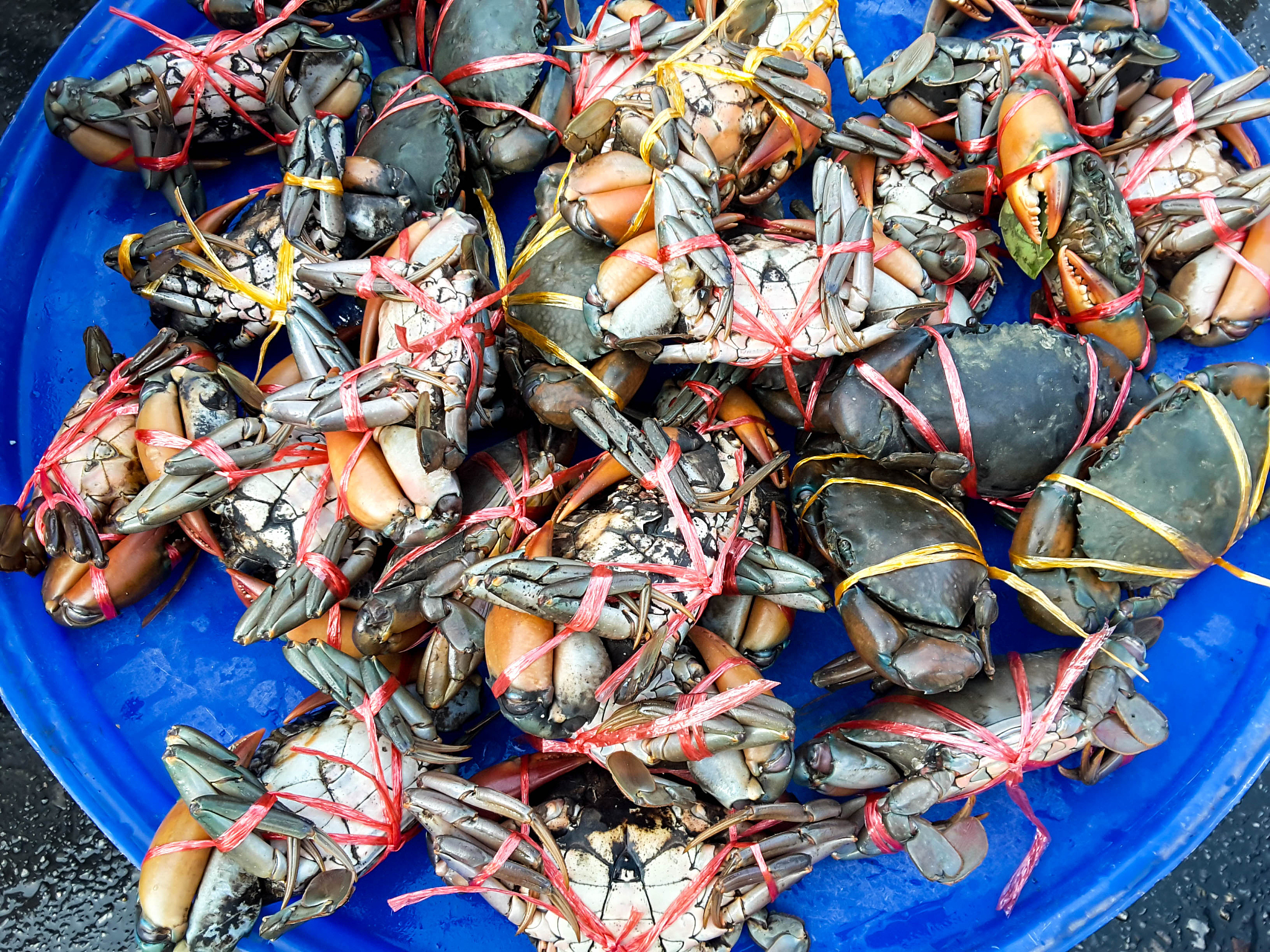 天天吃海鲜有什么危害，