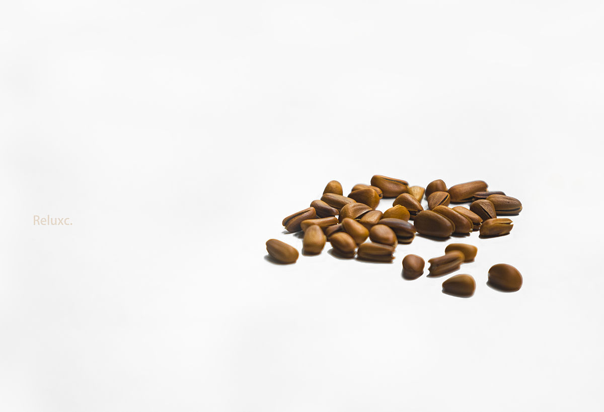 门面出租协议书