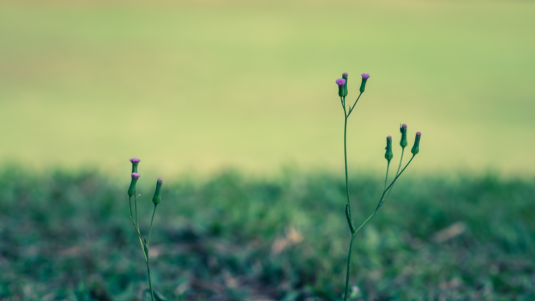 请教给我如何美化电脑桌面