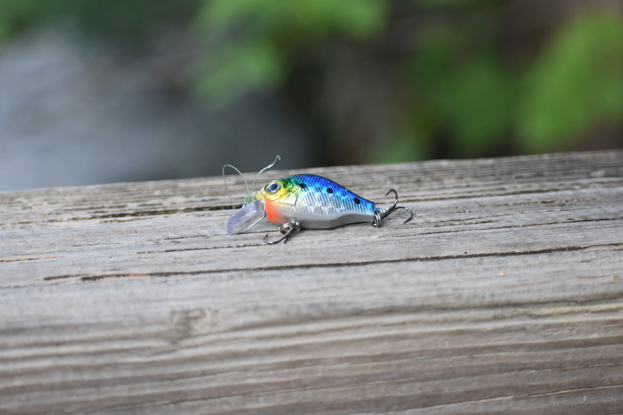 used fishing lure