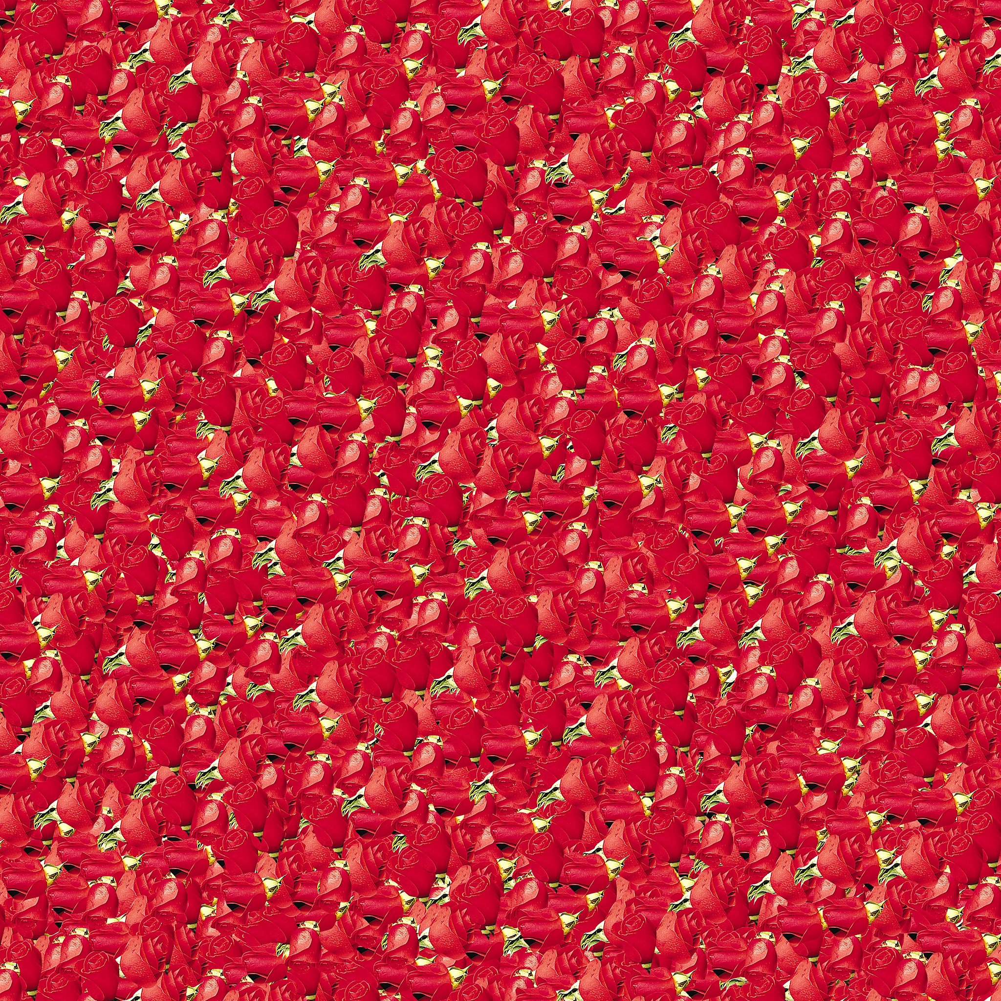 毕节市财贸学校工艺美术专业好不好学呢开设了哪些课程