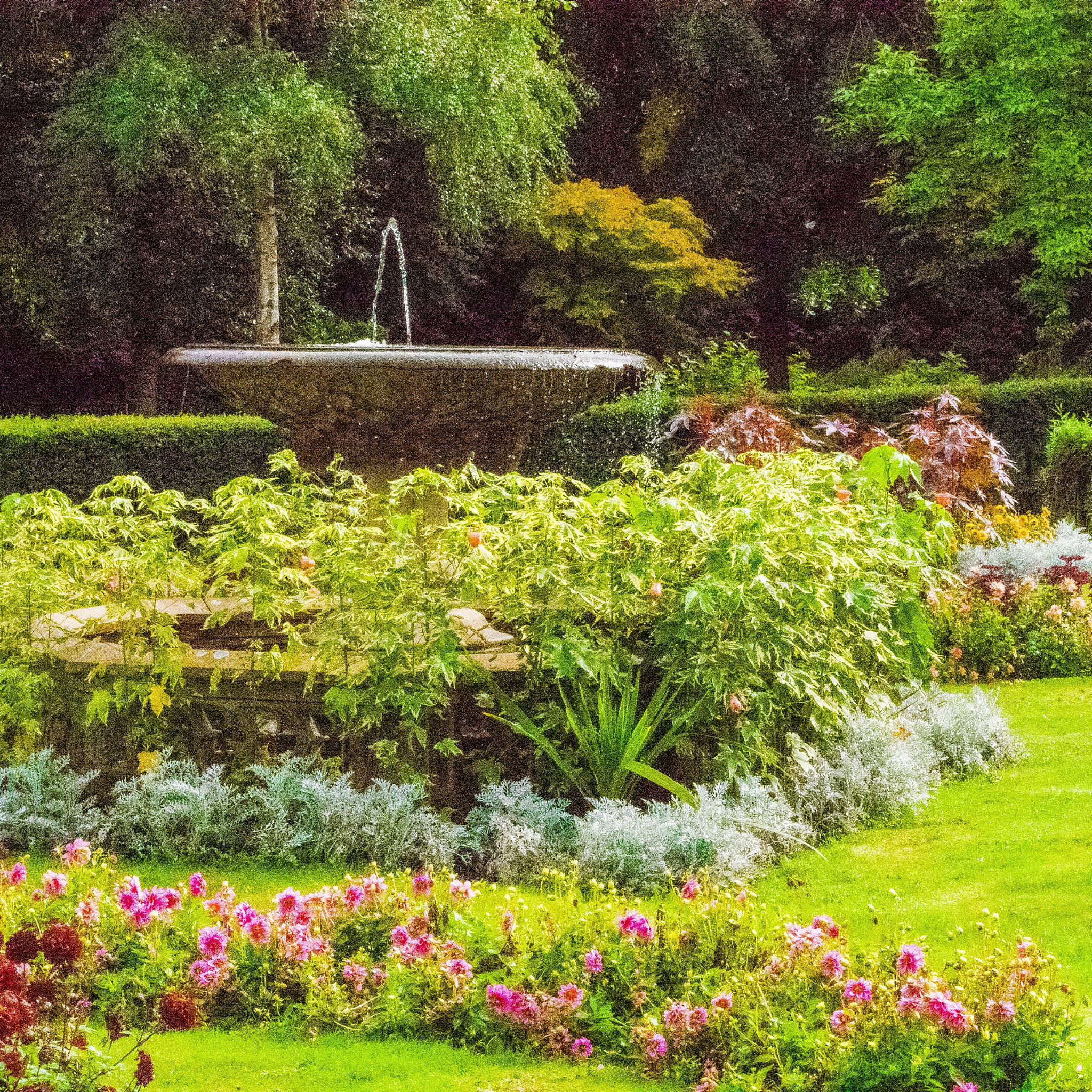 园林植物景观中人对自然植物的依附性园林植物景观中人对自然植物的依附性是非常强的。这种依附性体现在以下几个方面：1 植物的美学价值：园林植物景观中人们对植物的美学价值非常重视。各种形态、颜色、花纹的植物可以为园林景观增添不同的色彩和层次感使人们感到愉悦和舒适。2 植物的生态价值：园林植物景观中人们也非常关注植物的生态价值。各种植物可以为环境提供氧气净化空气调节温度和湿度保护土壤等。这些生态价值对于园
