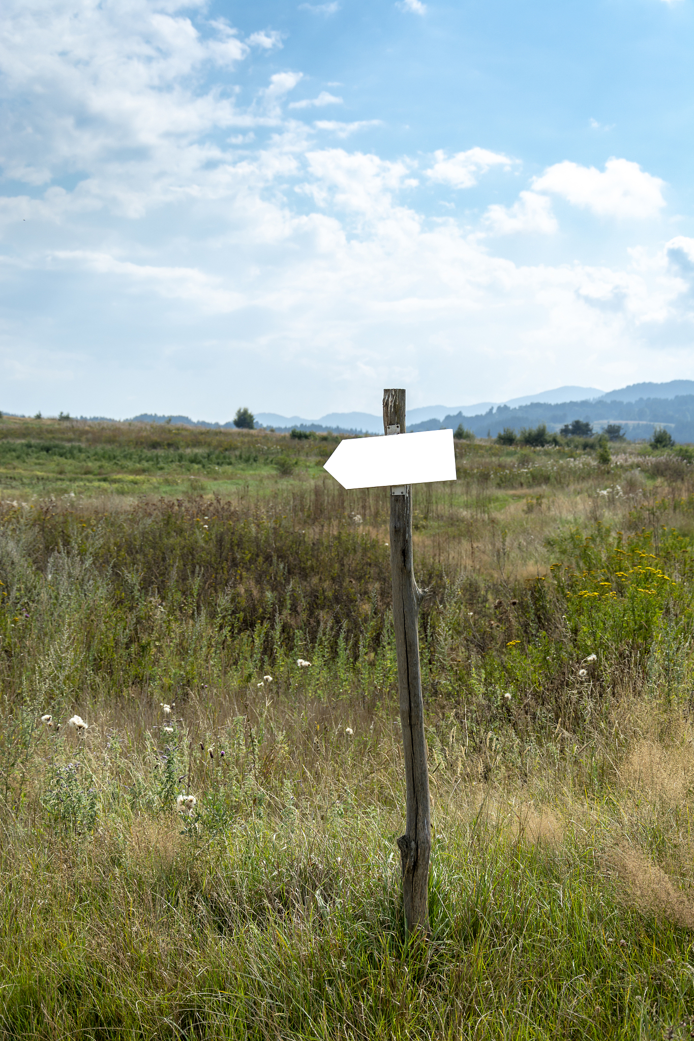 sign mountain