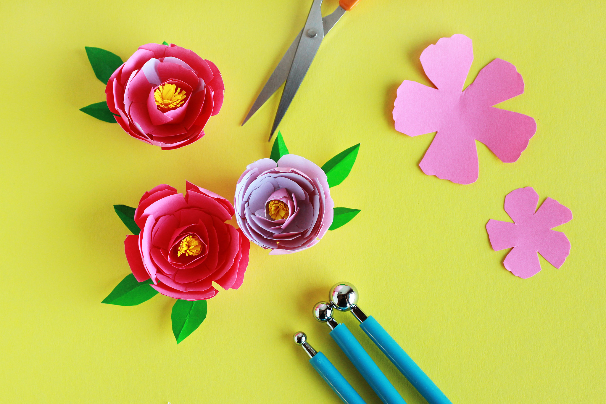 为了更好地学习纸艺制作的兴趣我如何一步一步的开始