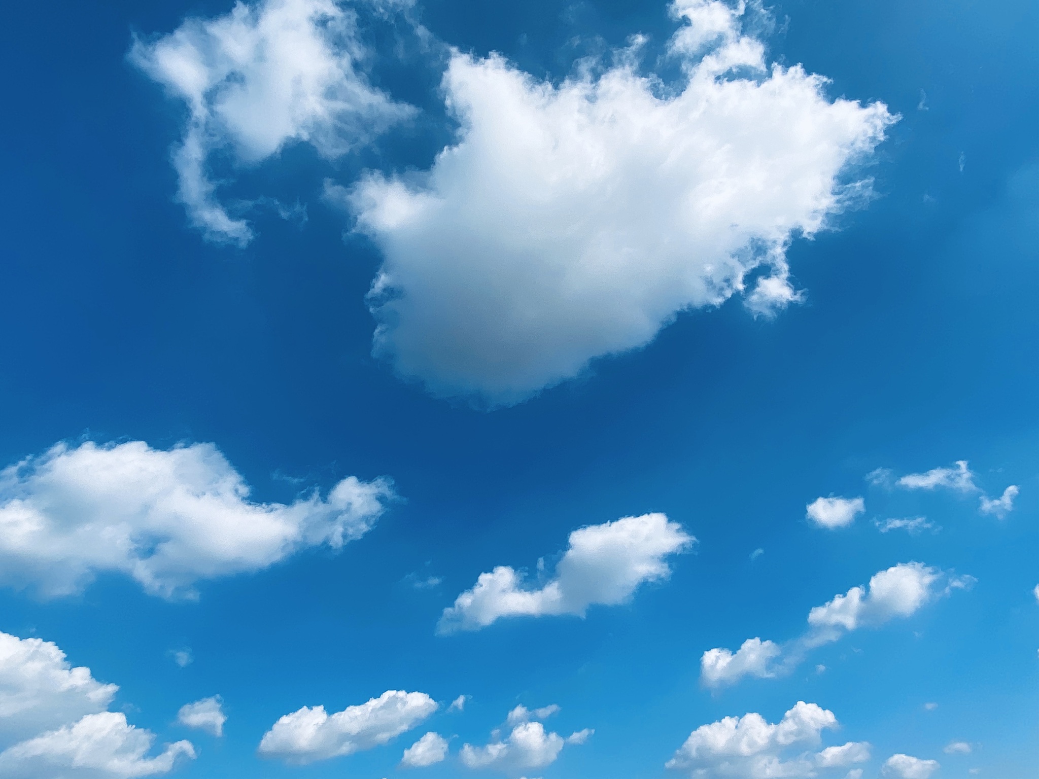 天上的白云千变万化，像什么？300字赏析