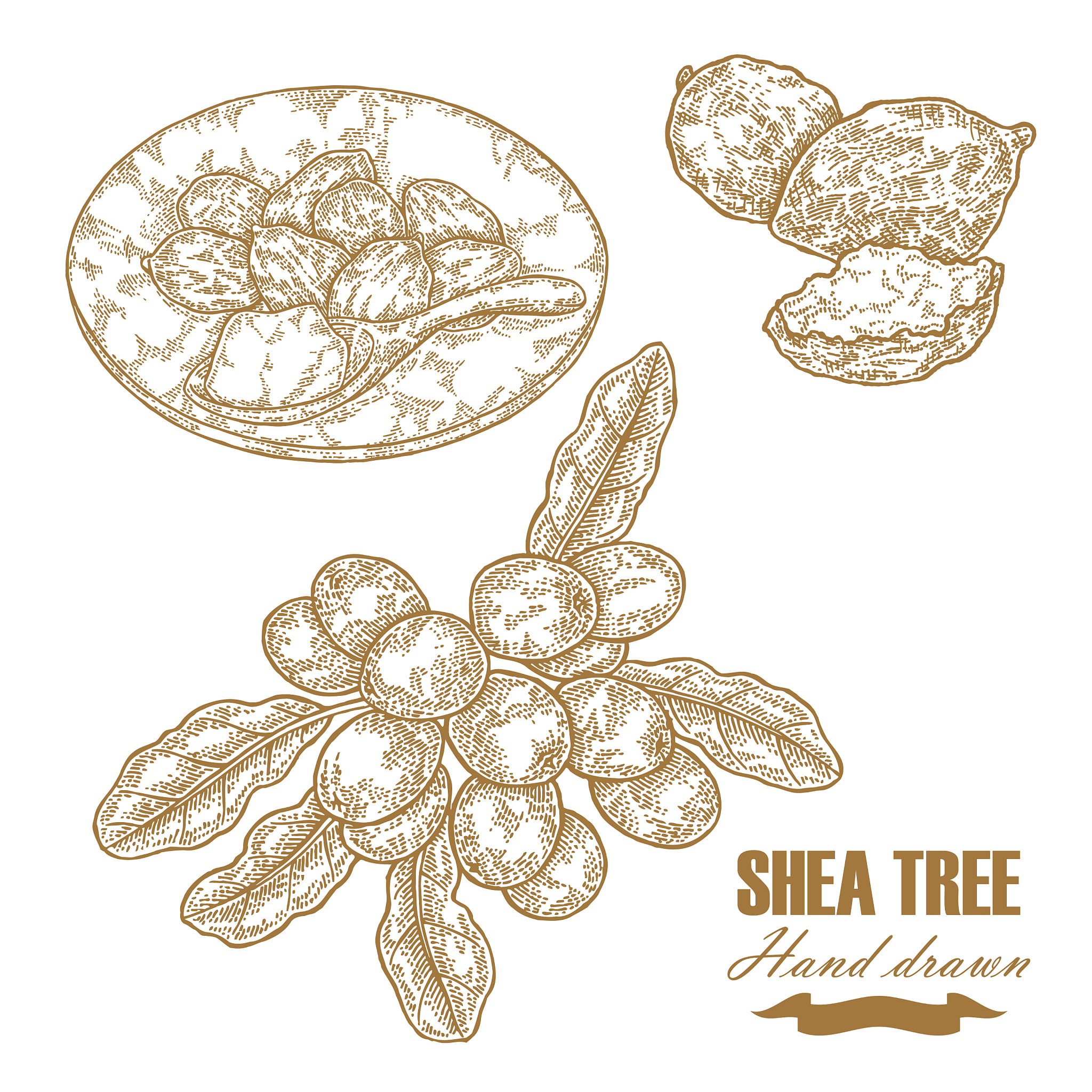 男生学什么专业好？6大热门专业推荐